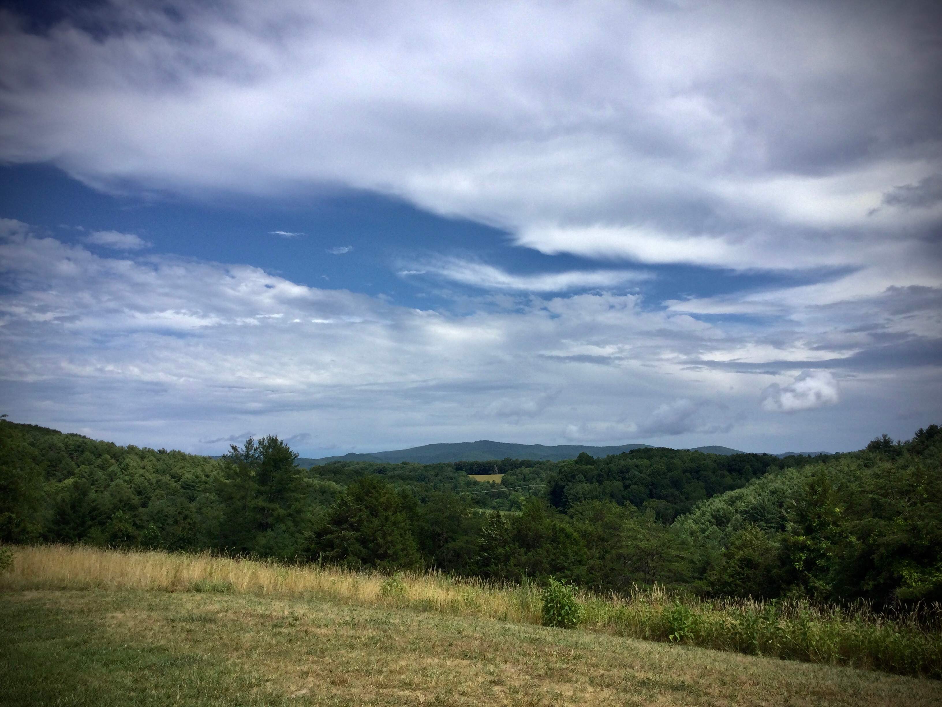 100 Acre Wood