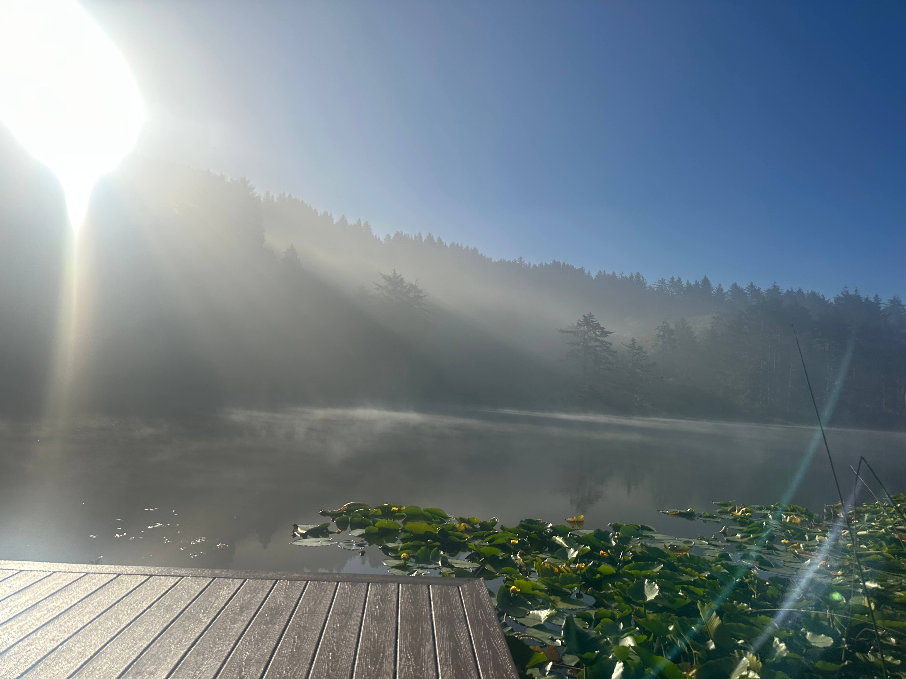 The Lake Pasture