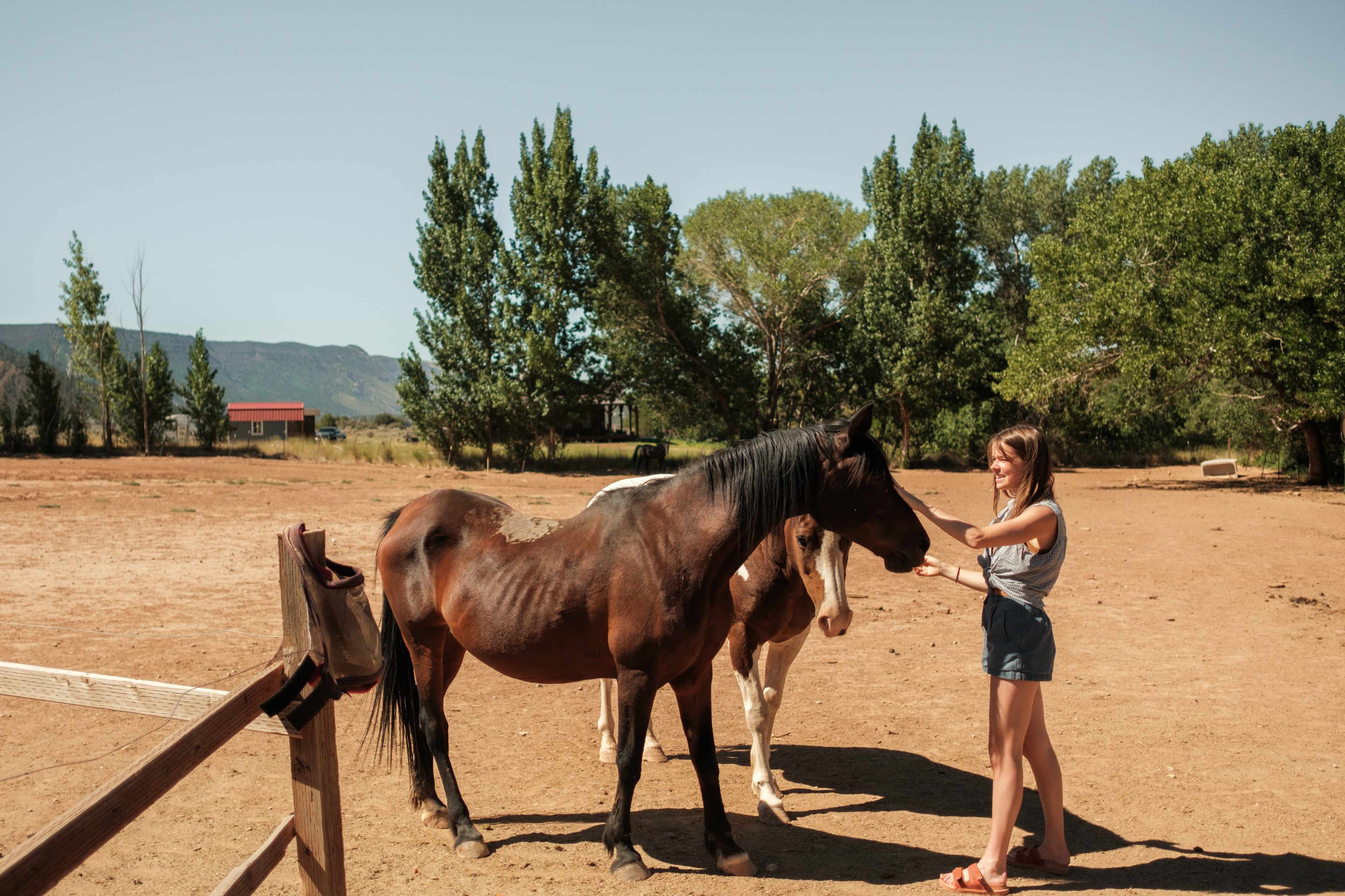 R bar T Ranch Hipcamp In New Harmony Utah