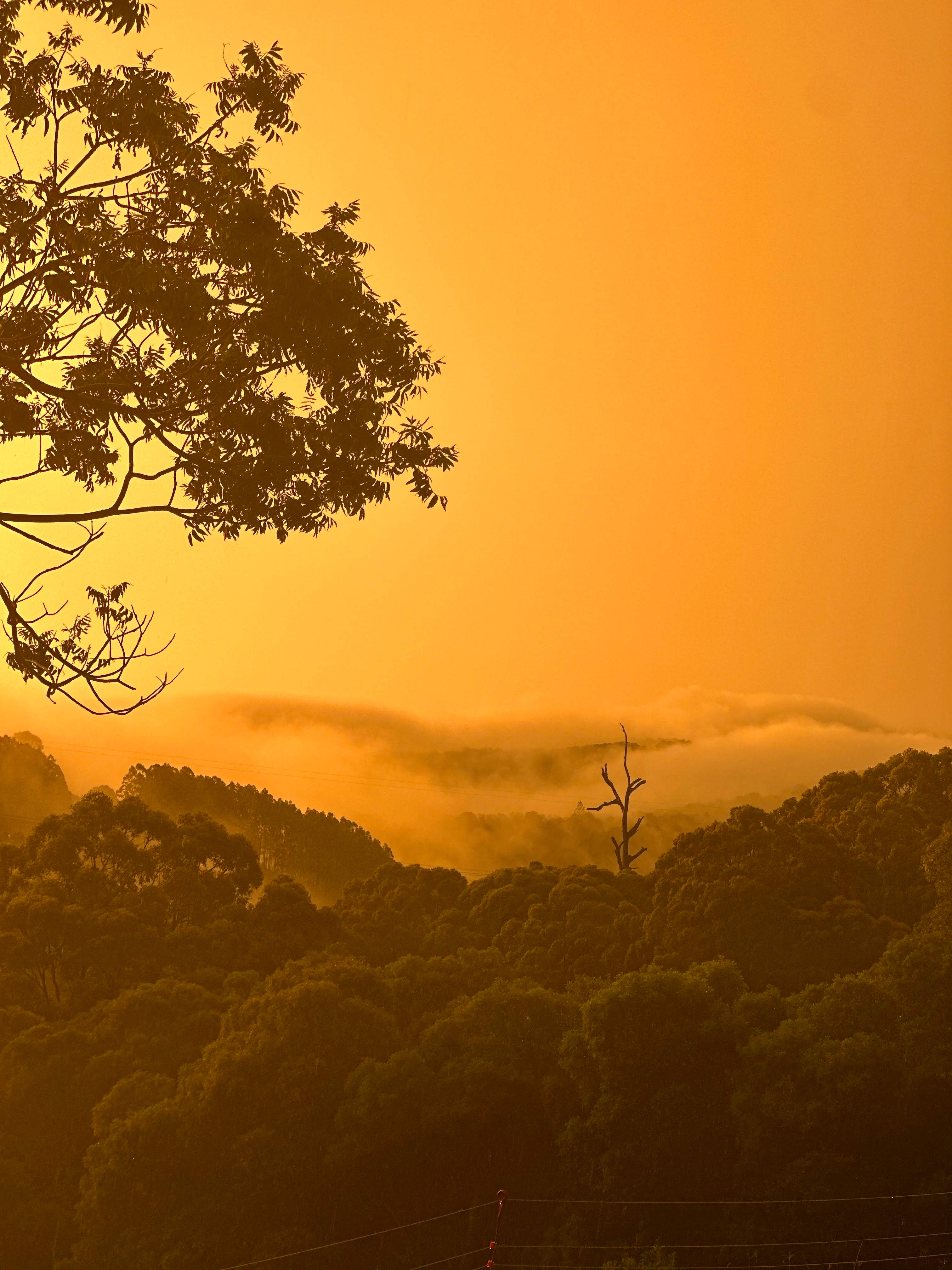 Tranquilvalleynoosa