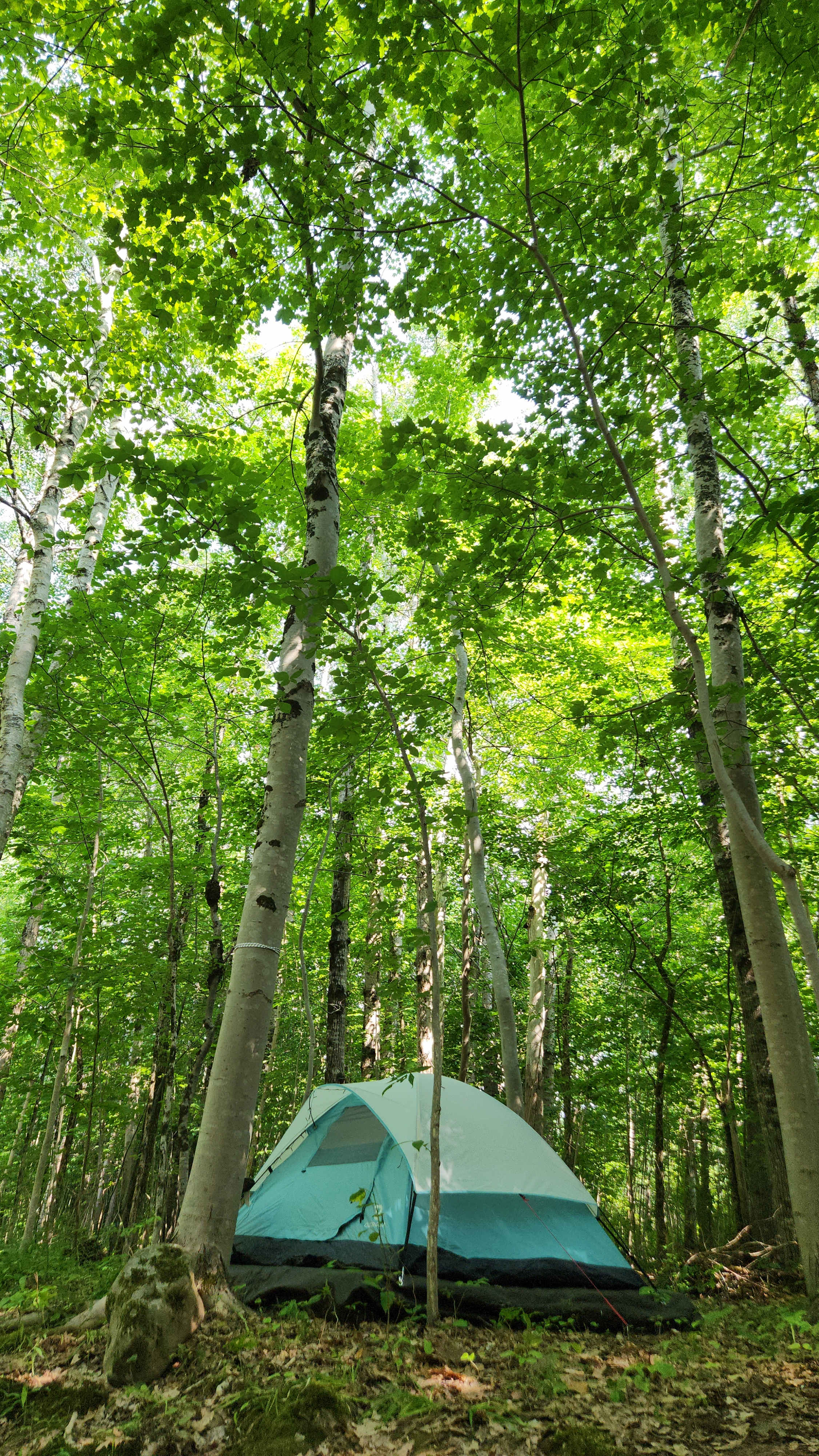 Gaspereau River Hipcamp