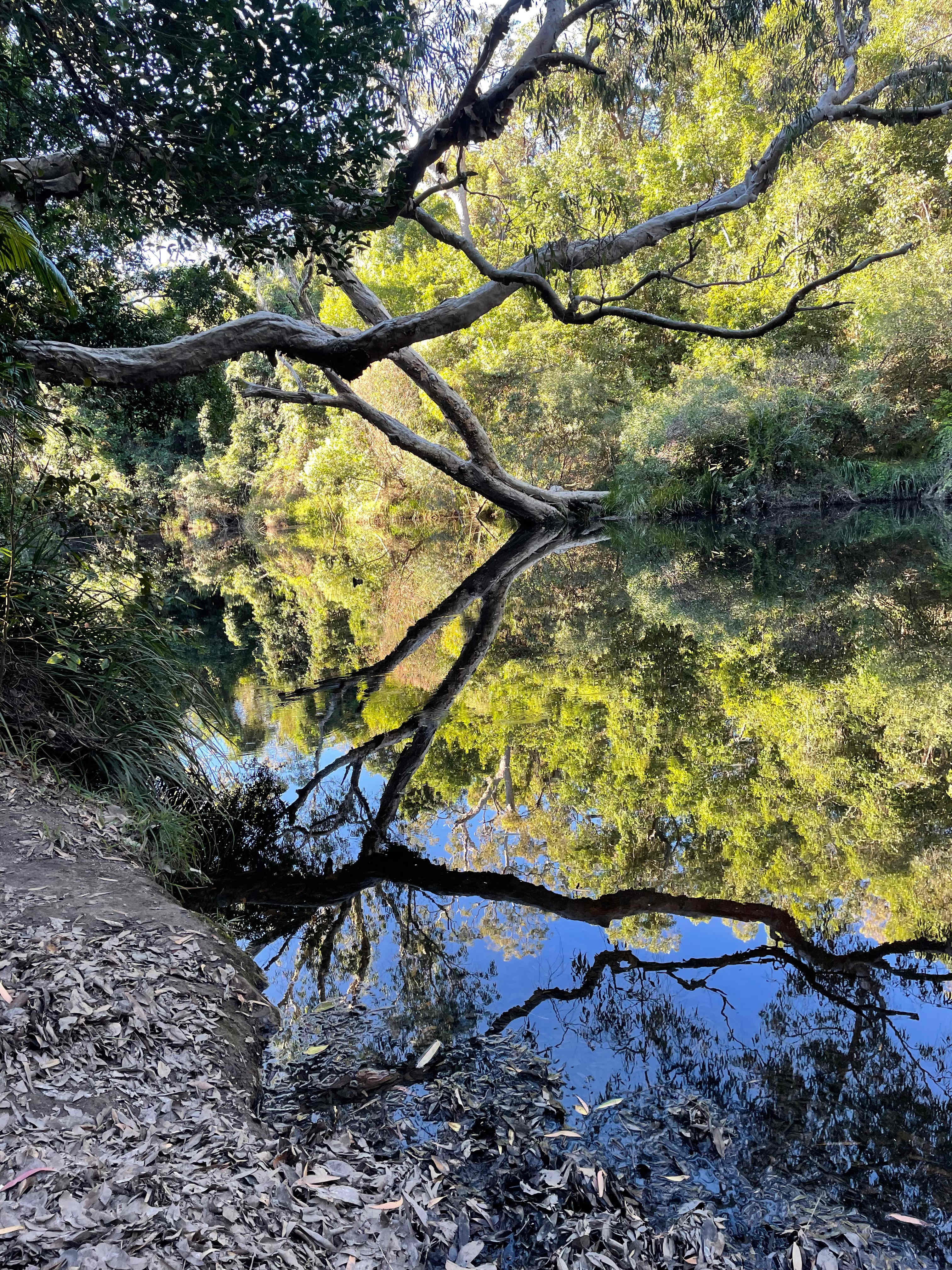 Ferns Hideaway Resort