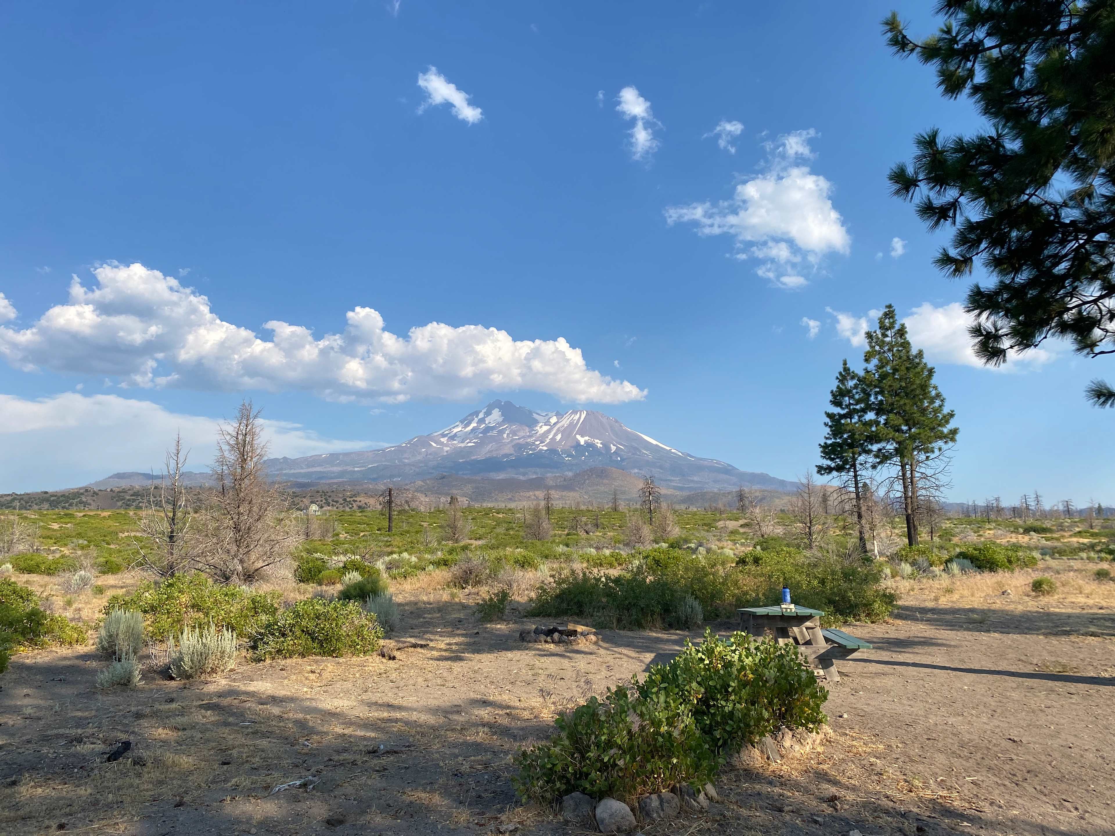 Juniper Valley Campsites