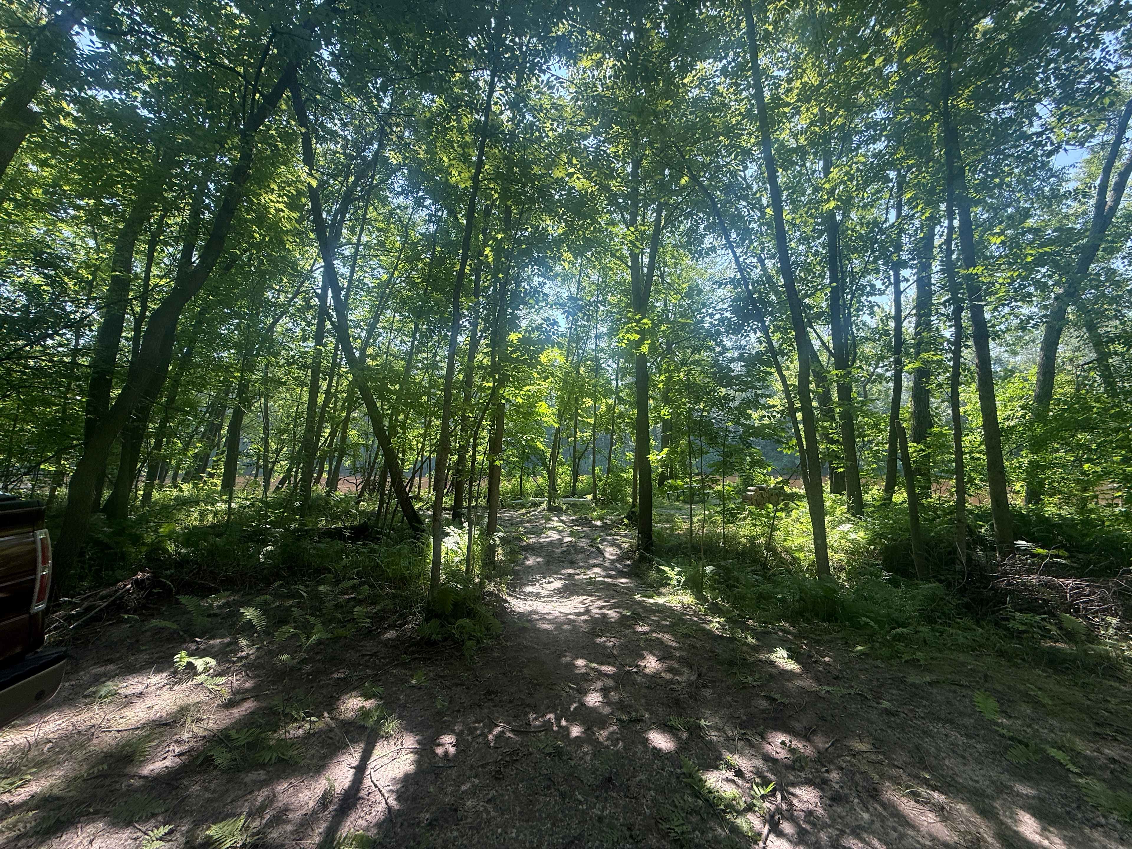 Cuyuna/Mississippi River Land