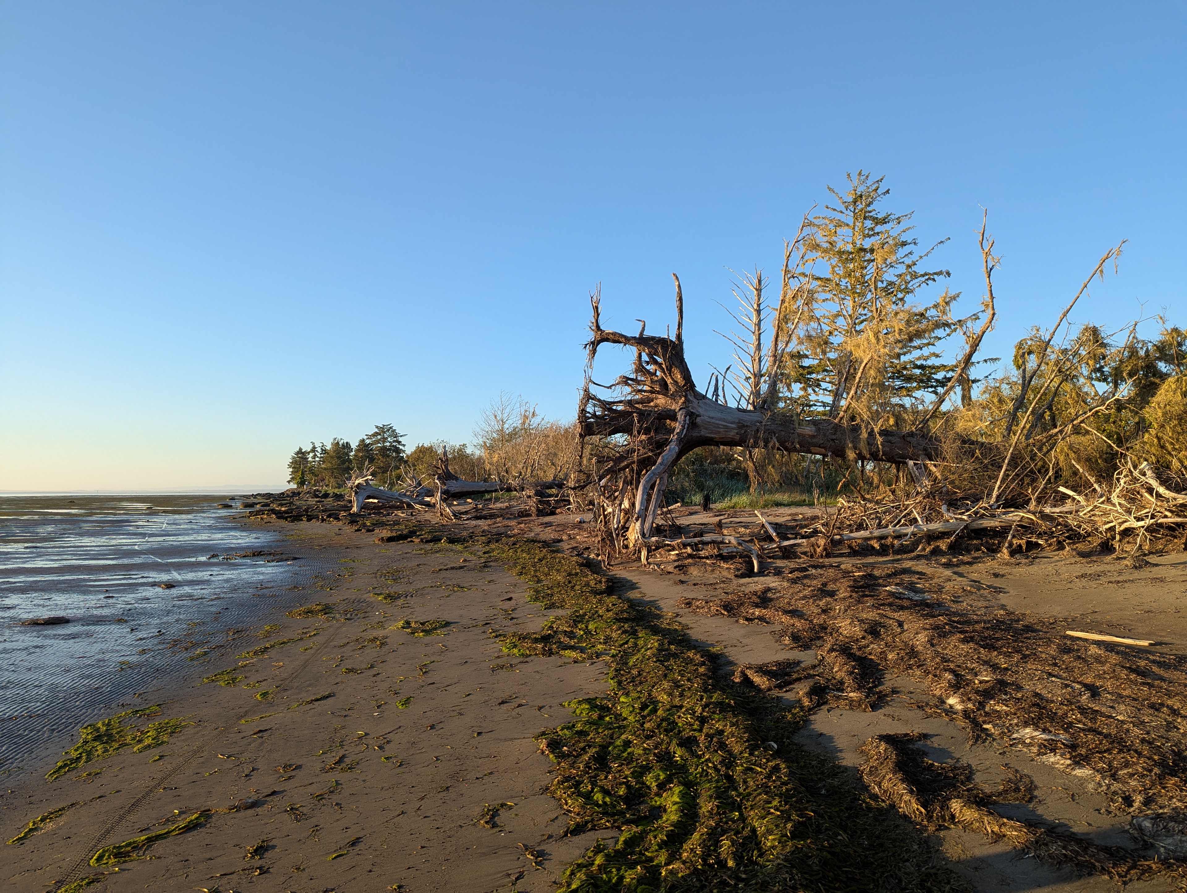 Unique Bay Front Camping