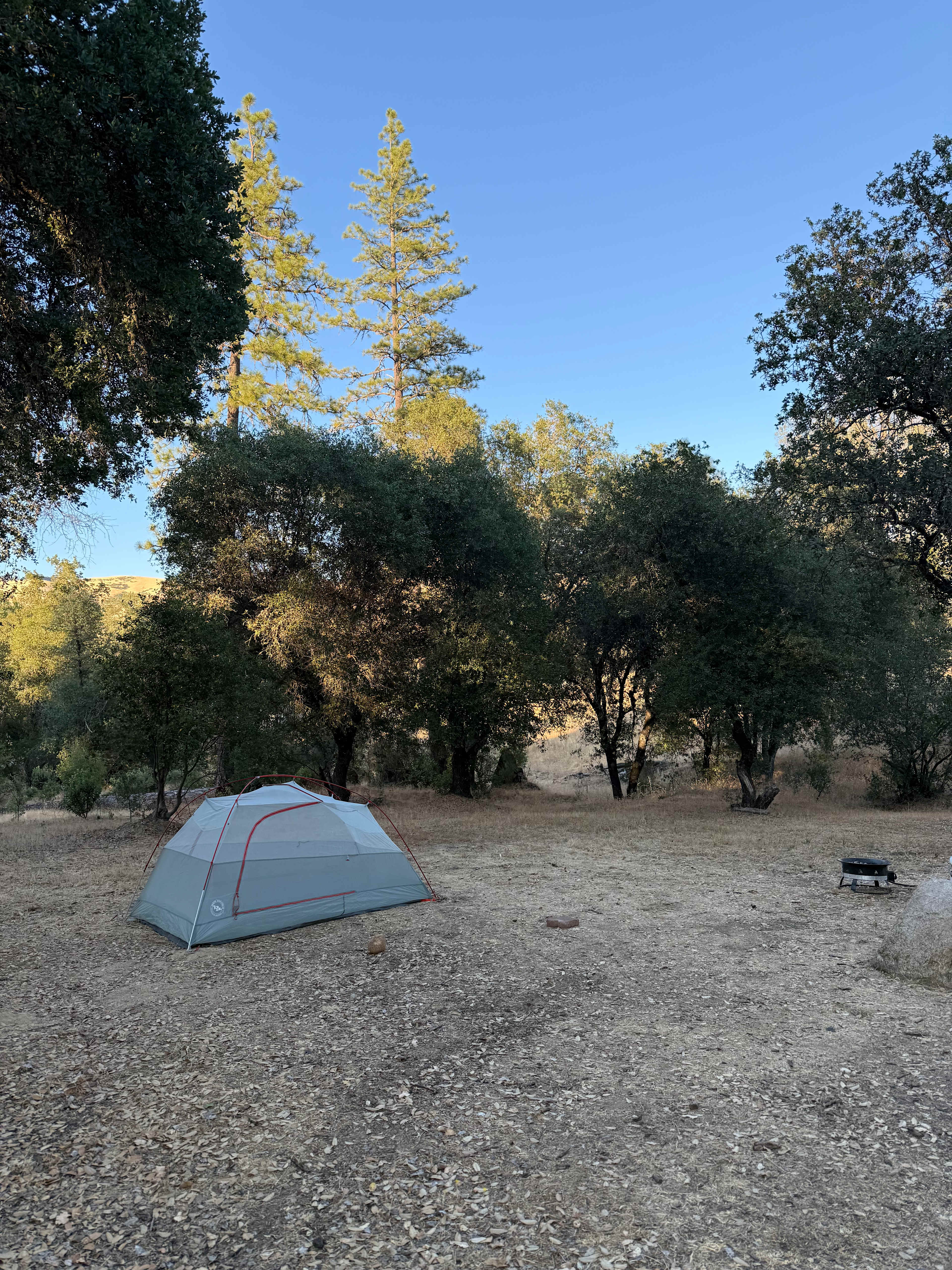 Manzanita Camping & Co