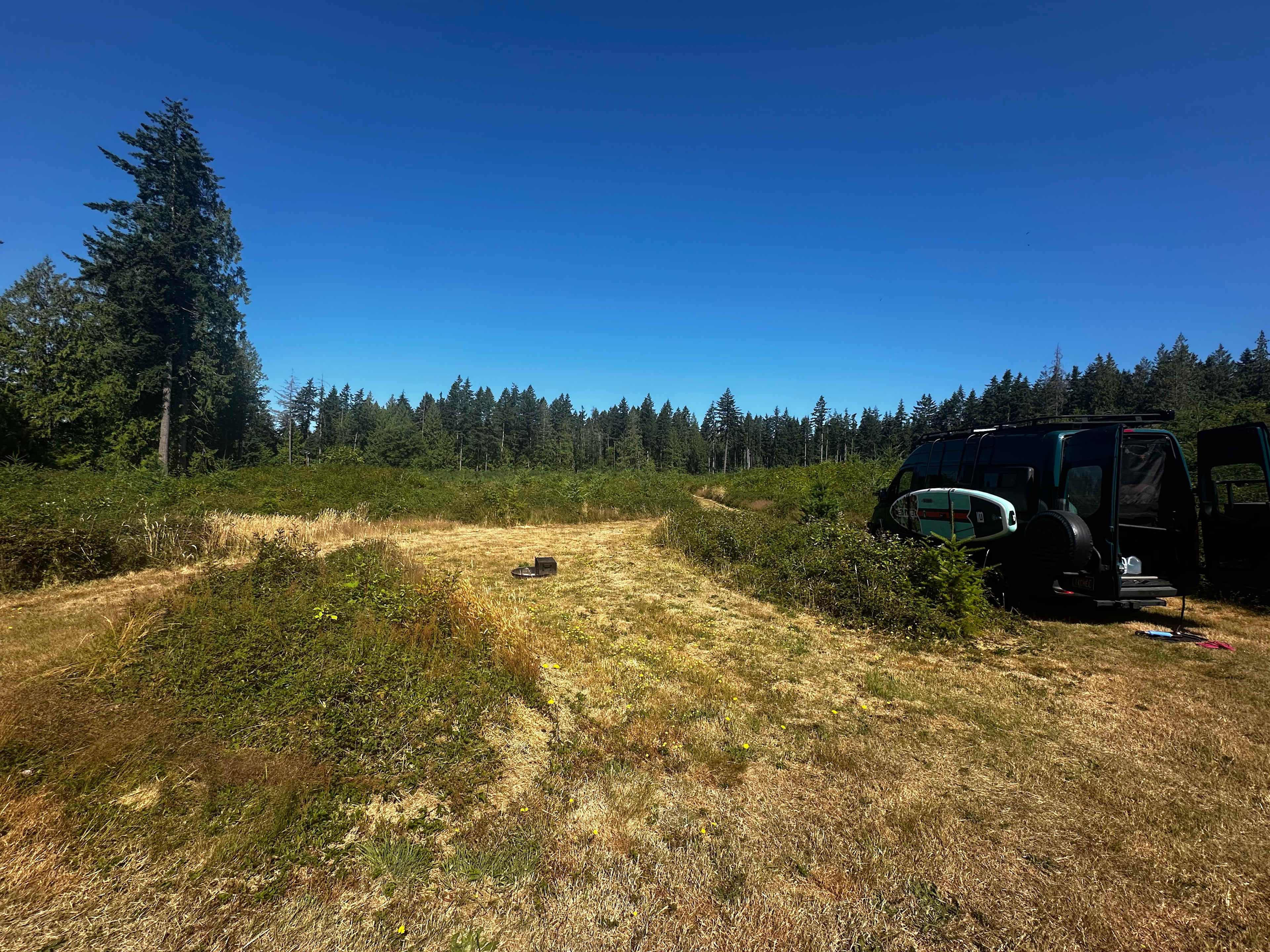 Wild Meadow Hideaway