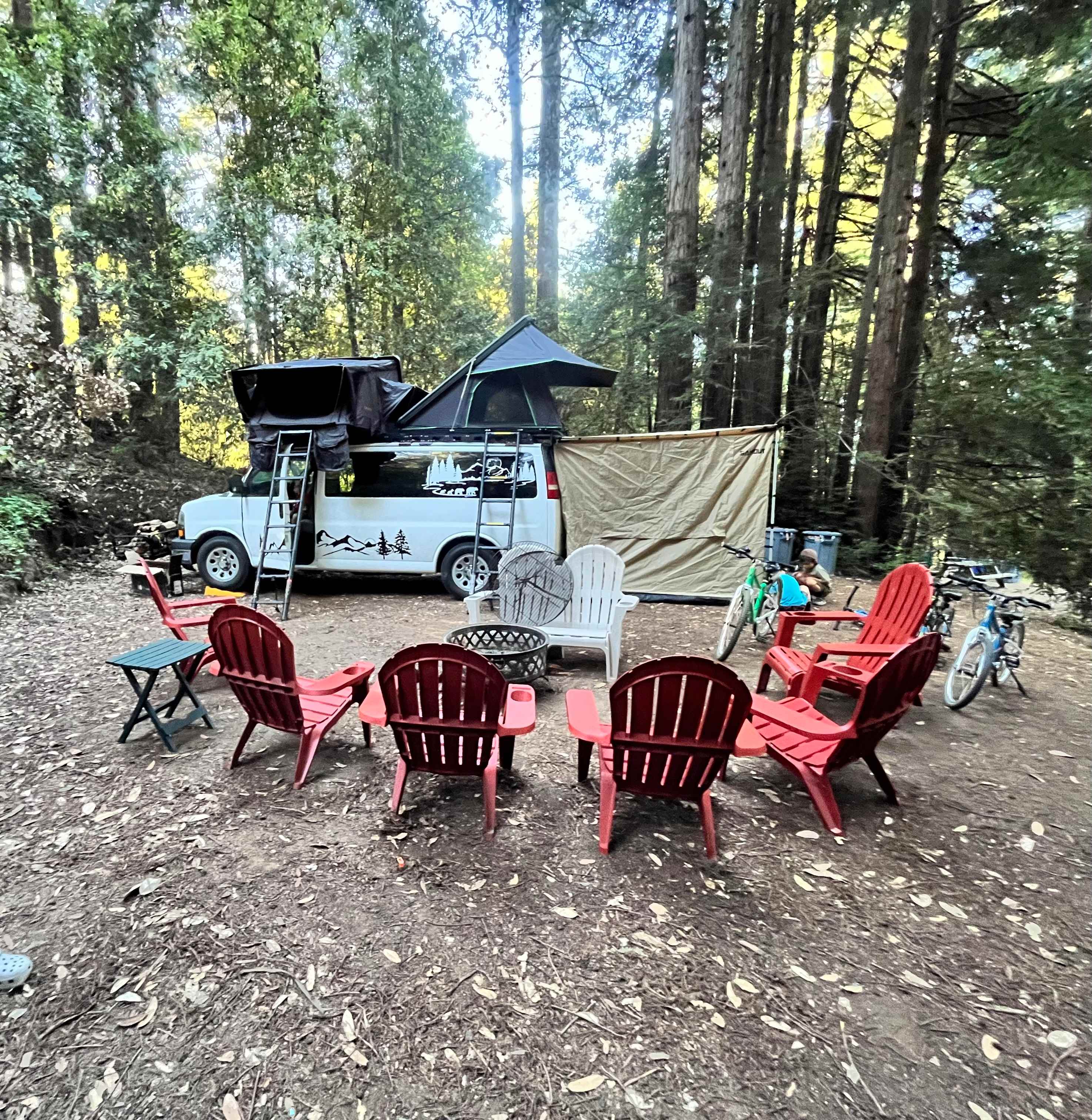 Redwood Paradise