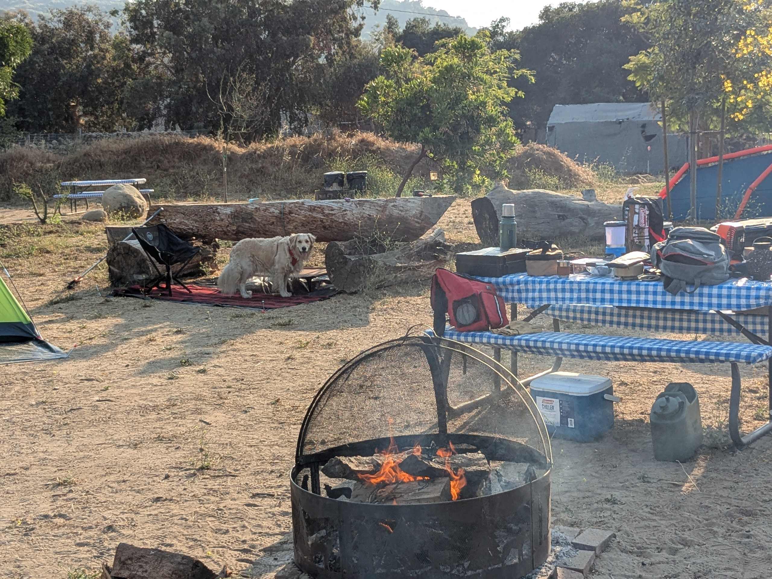 Arber-Moore's Ranch