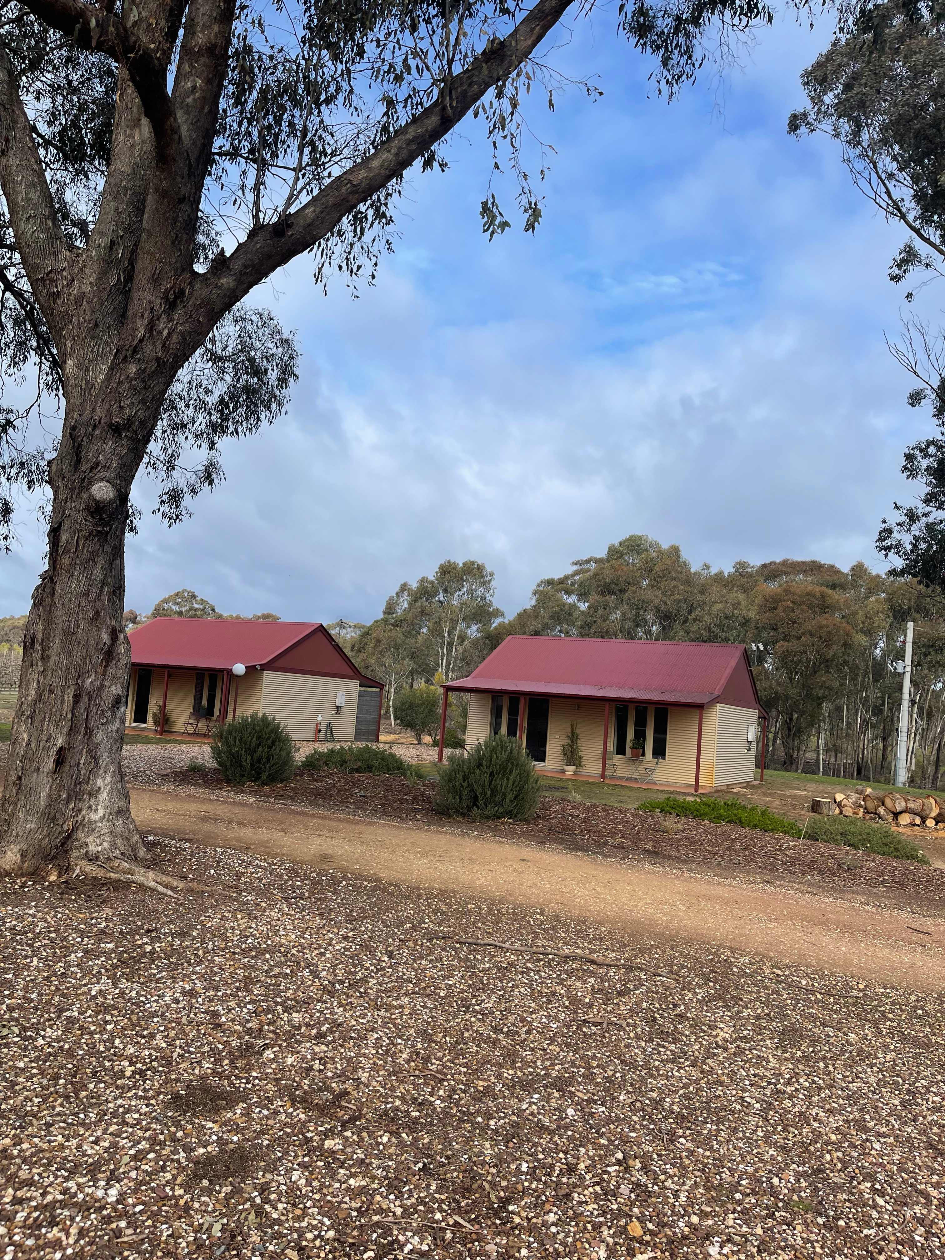 Sandhurst Ridge Vineyard