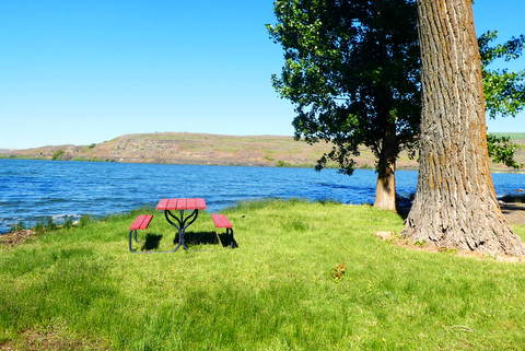 Sprague Lake Resort