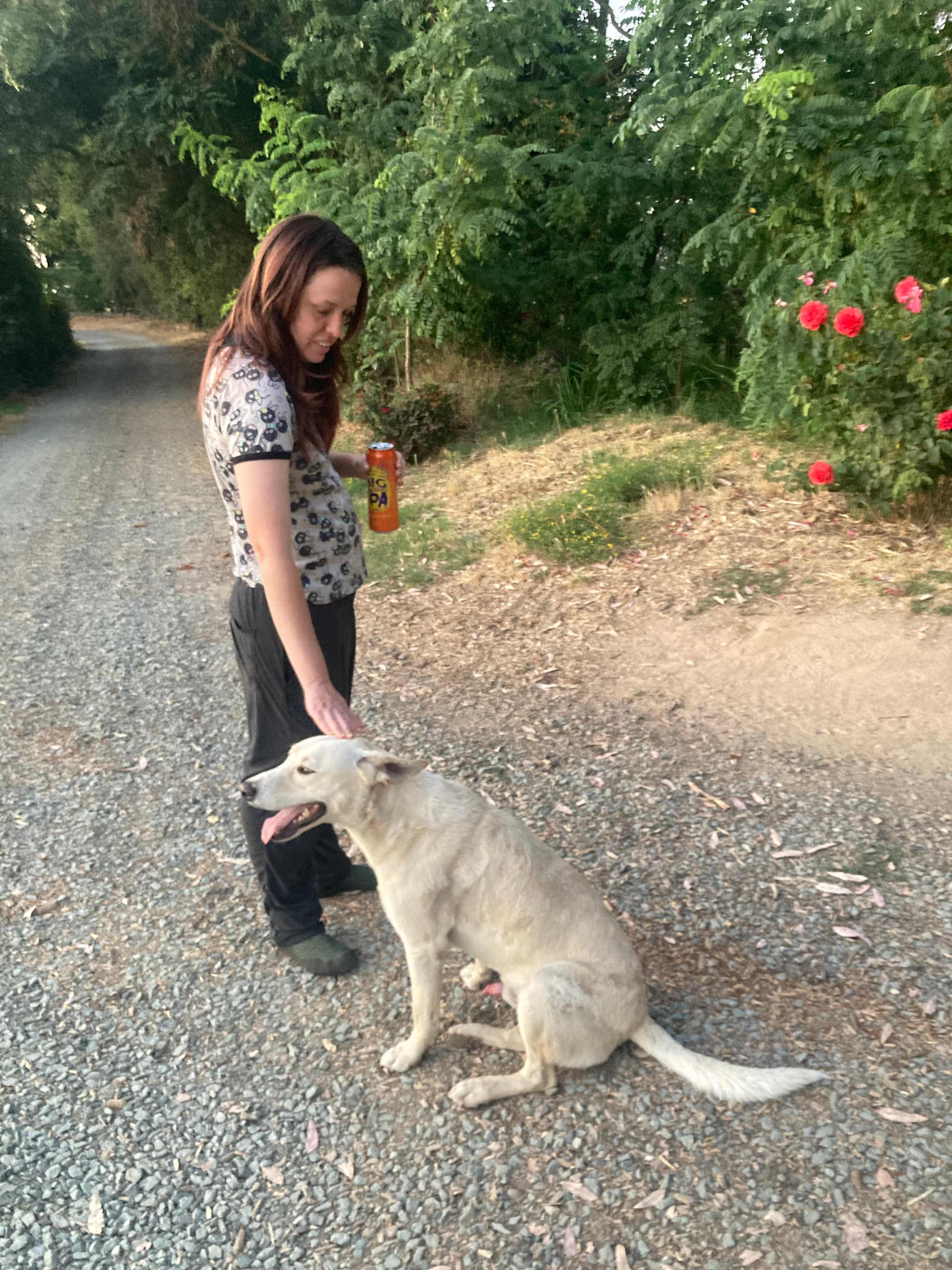 Sweet pups come to greet campers. 