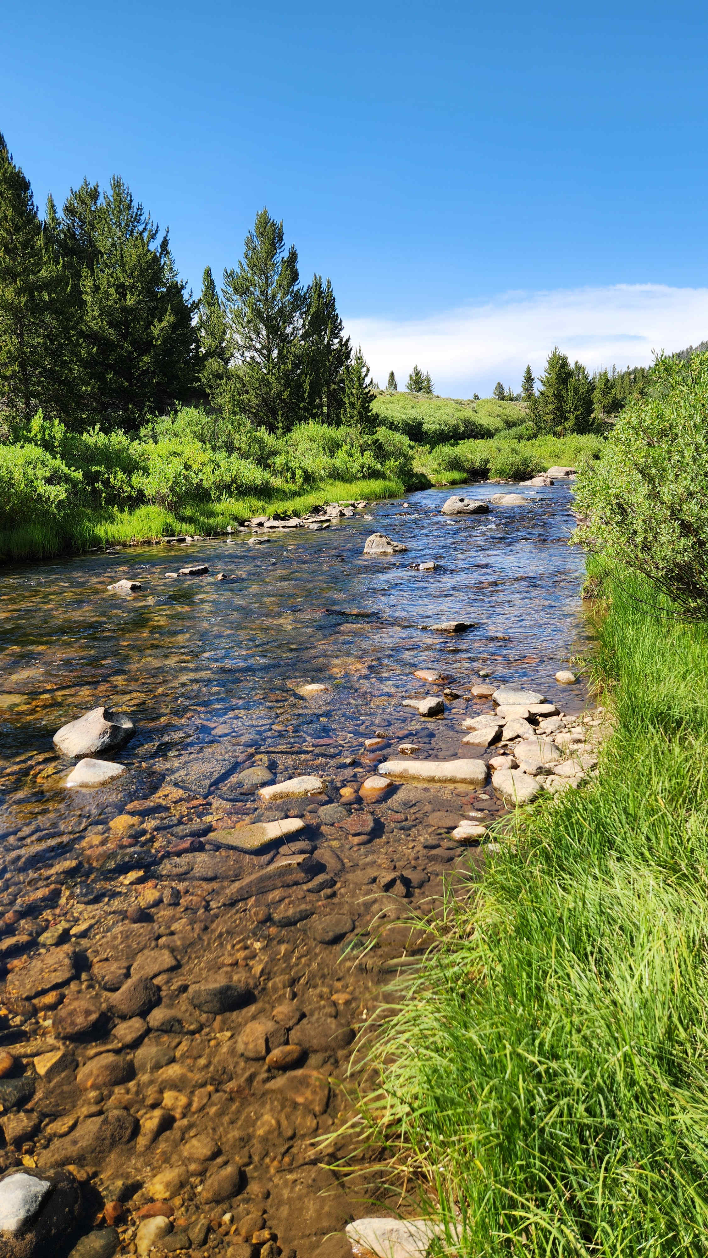 Stream down the road