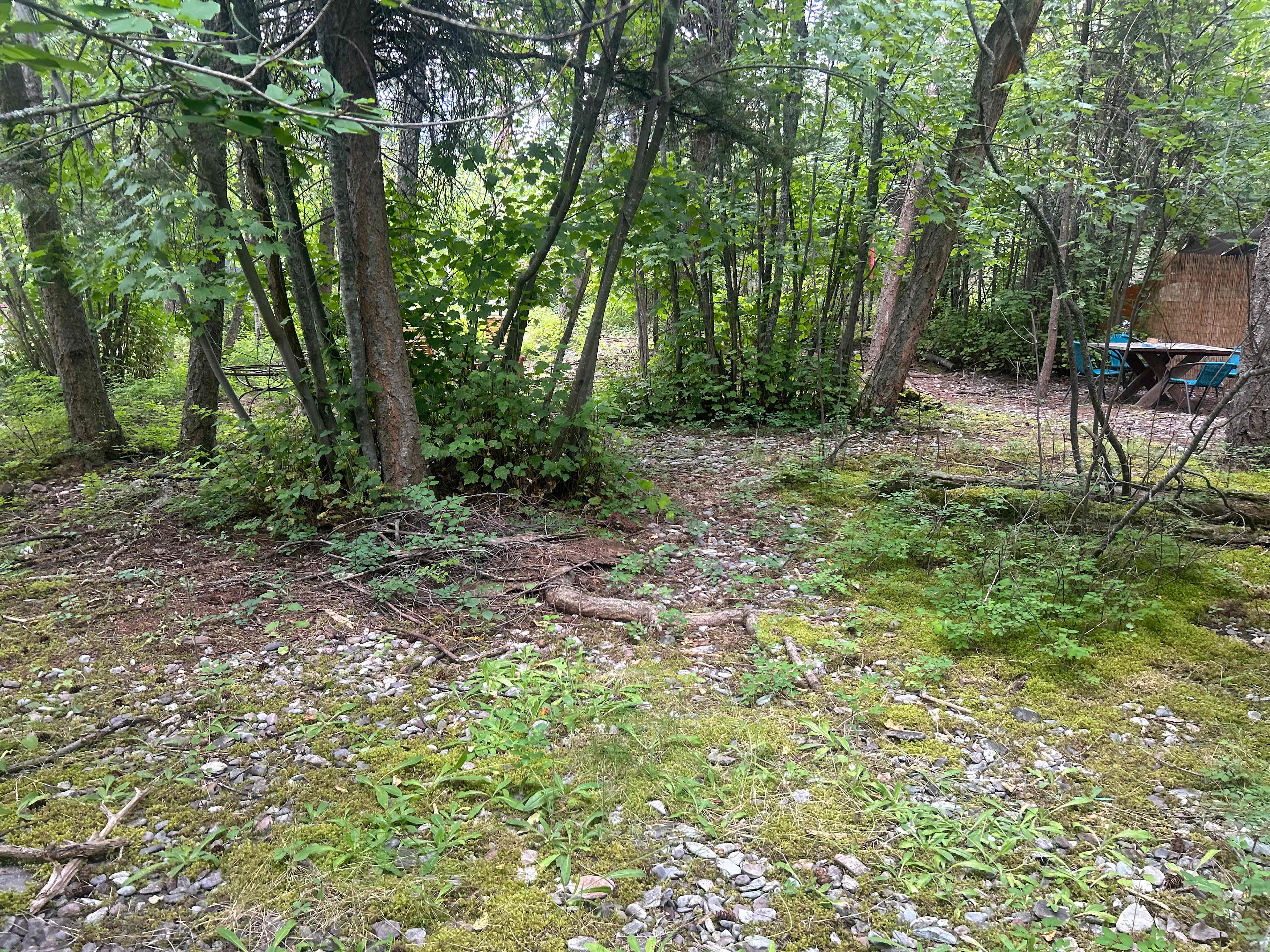 Flathead Lake Camp And Cottage