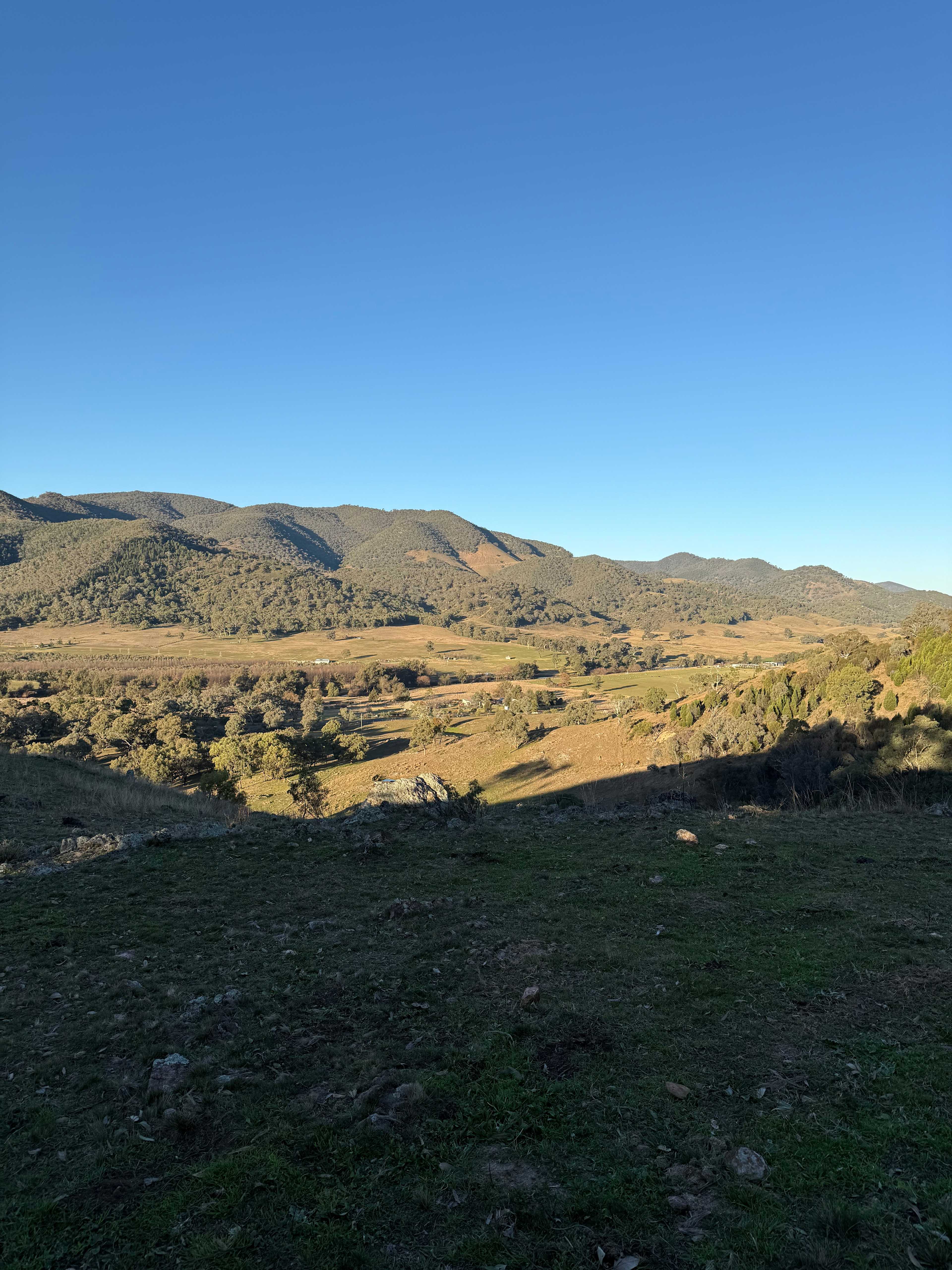 View from the drive in 