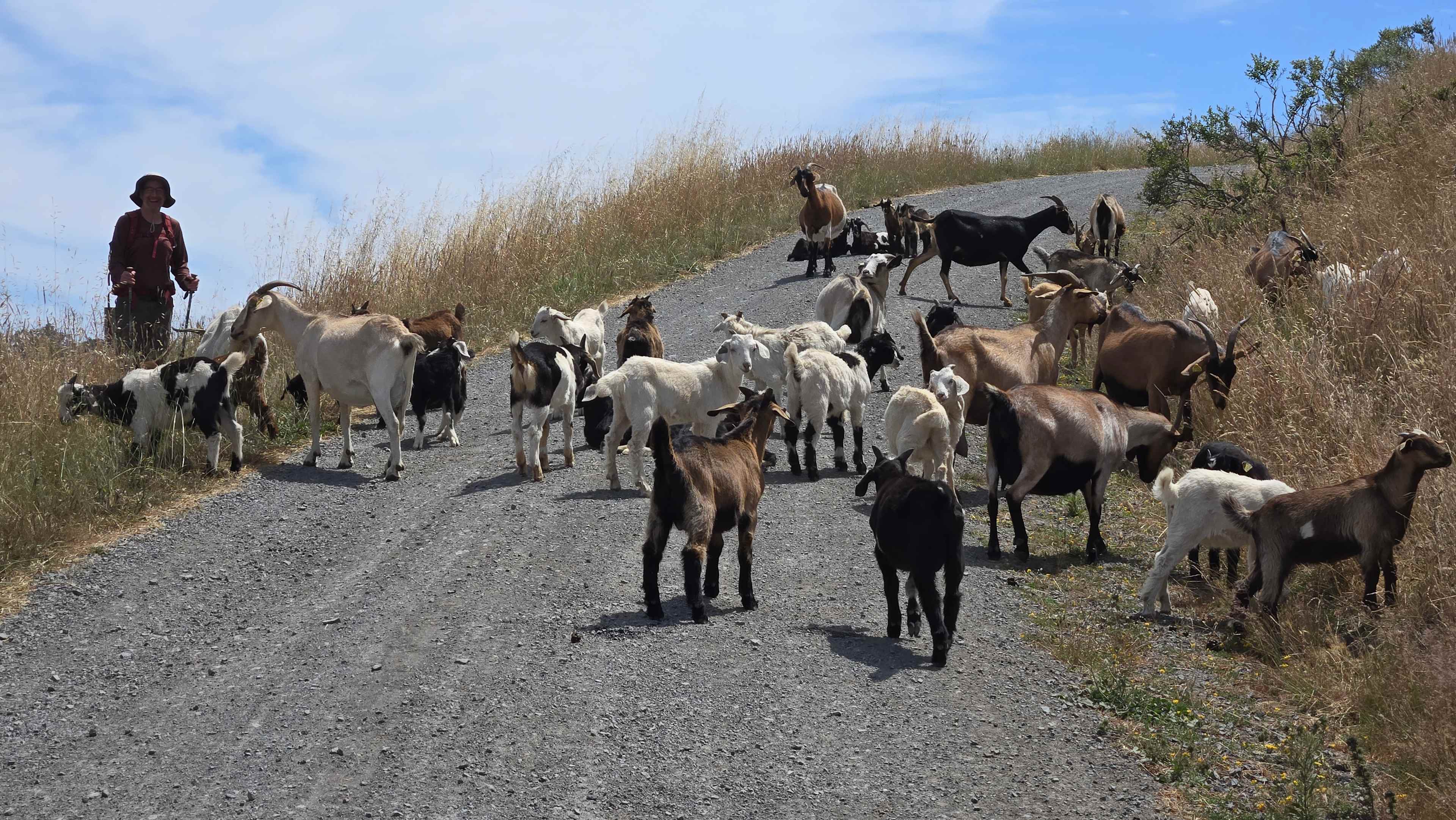 Salmon Creek Ranch