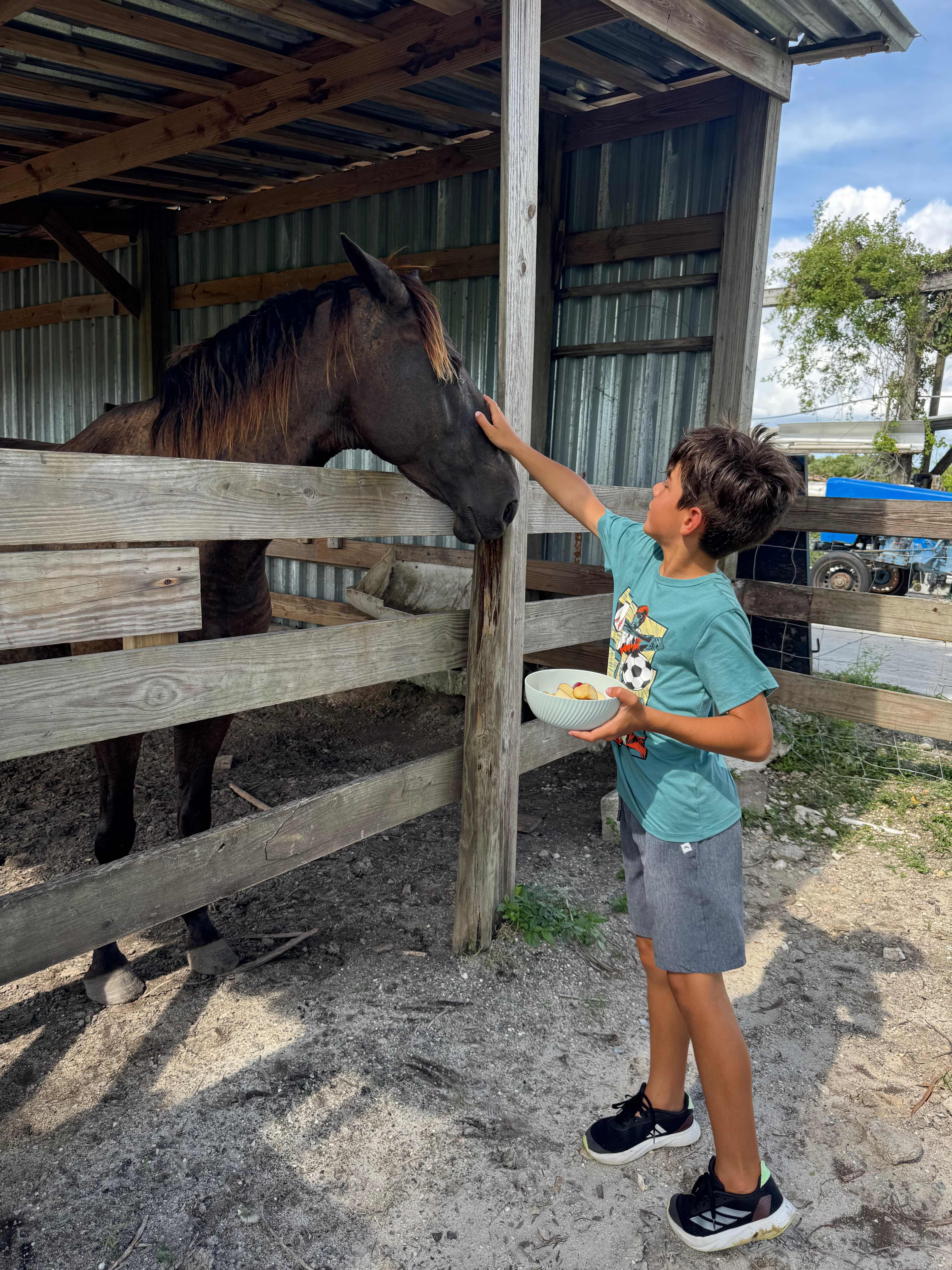 Blue Fox Ranch: Lake & Farm Camp