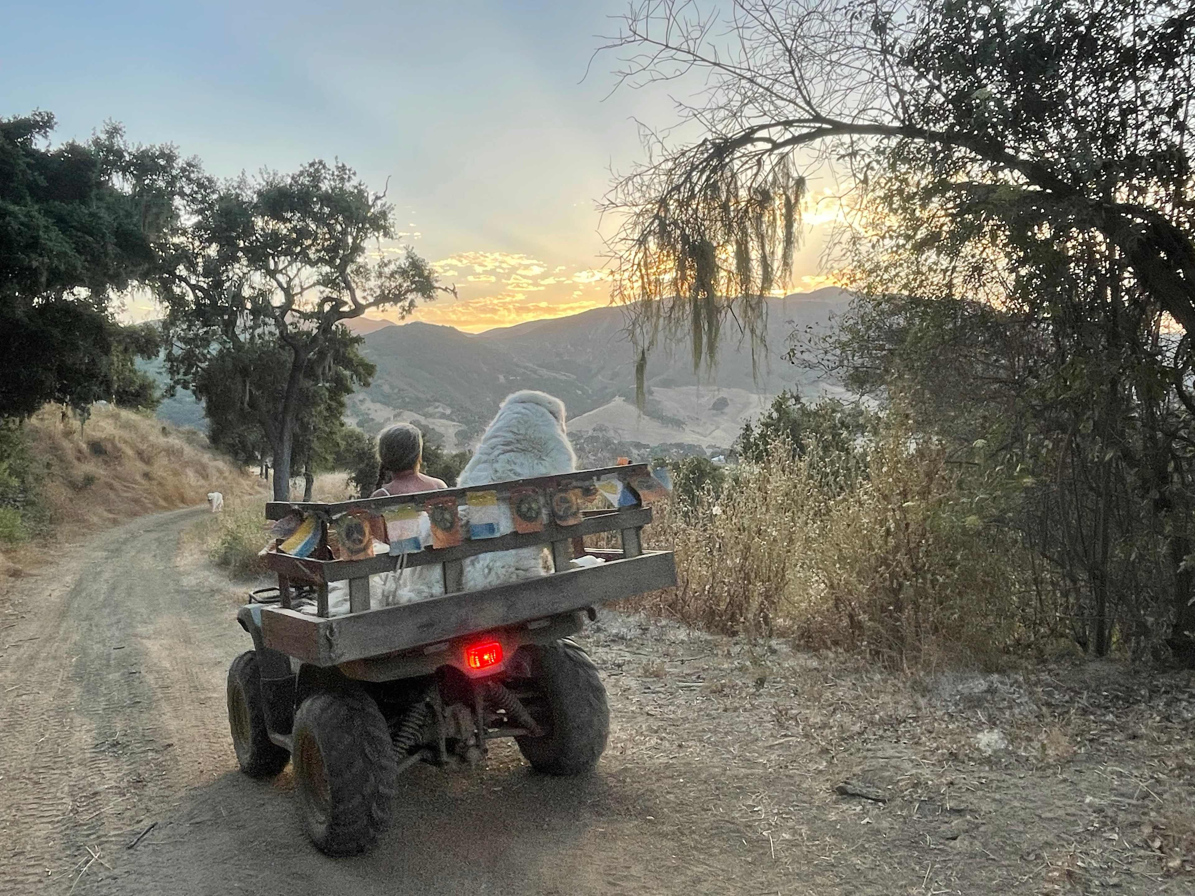 Sierra and Bandit Doing Perimeter Check.