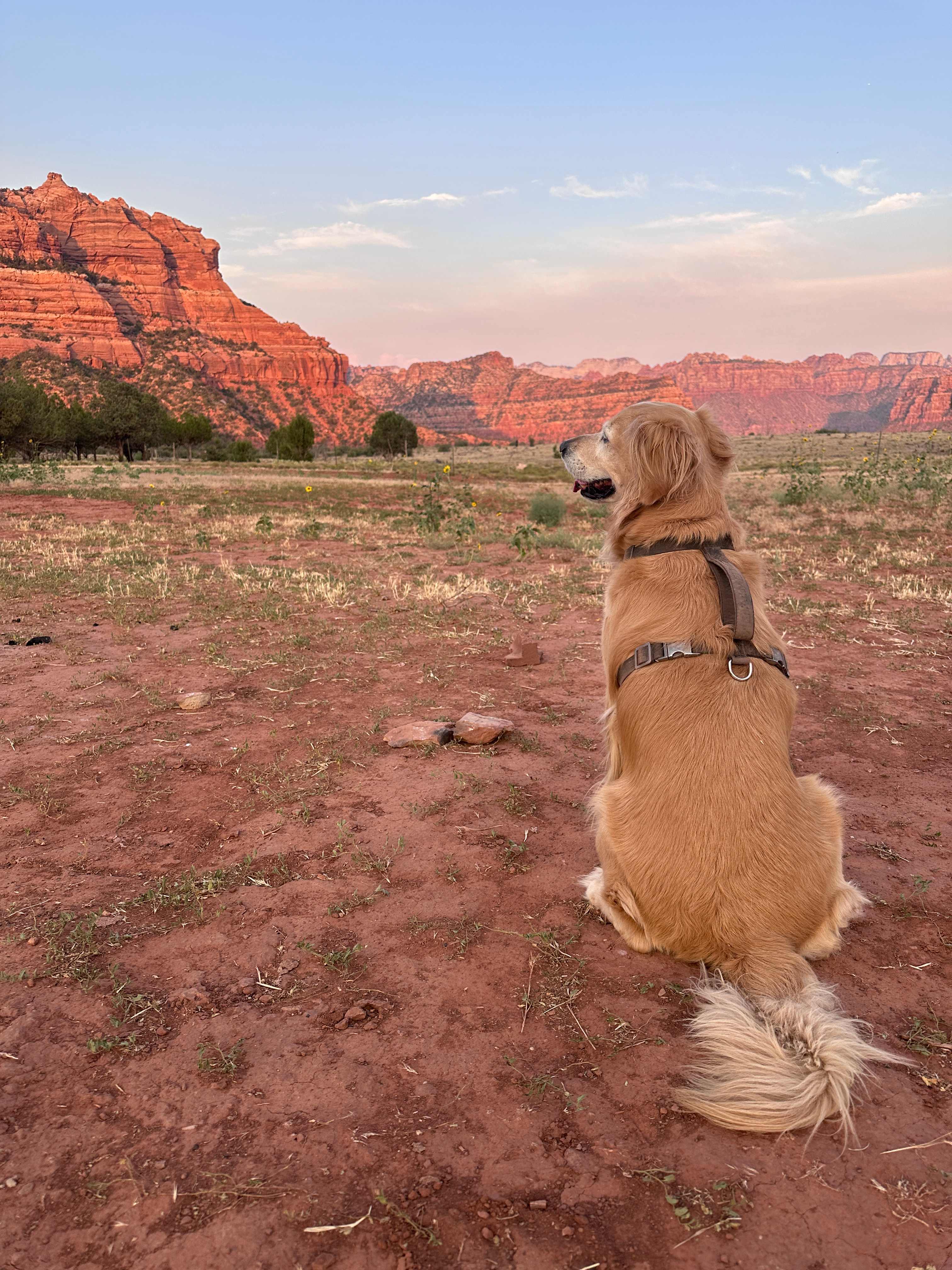Zion Wright Ranch Eco-Camp