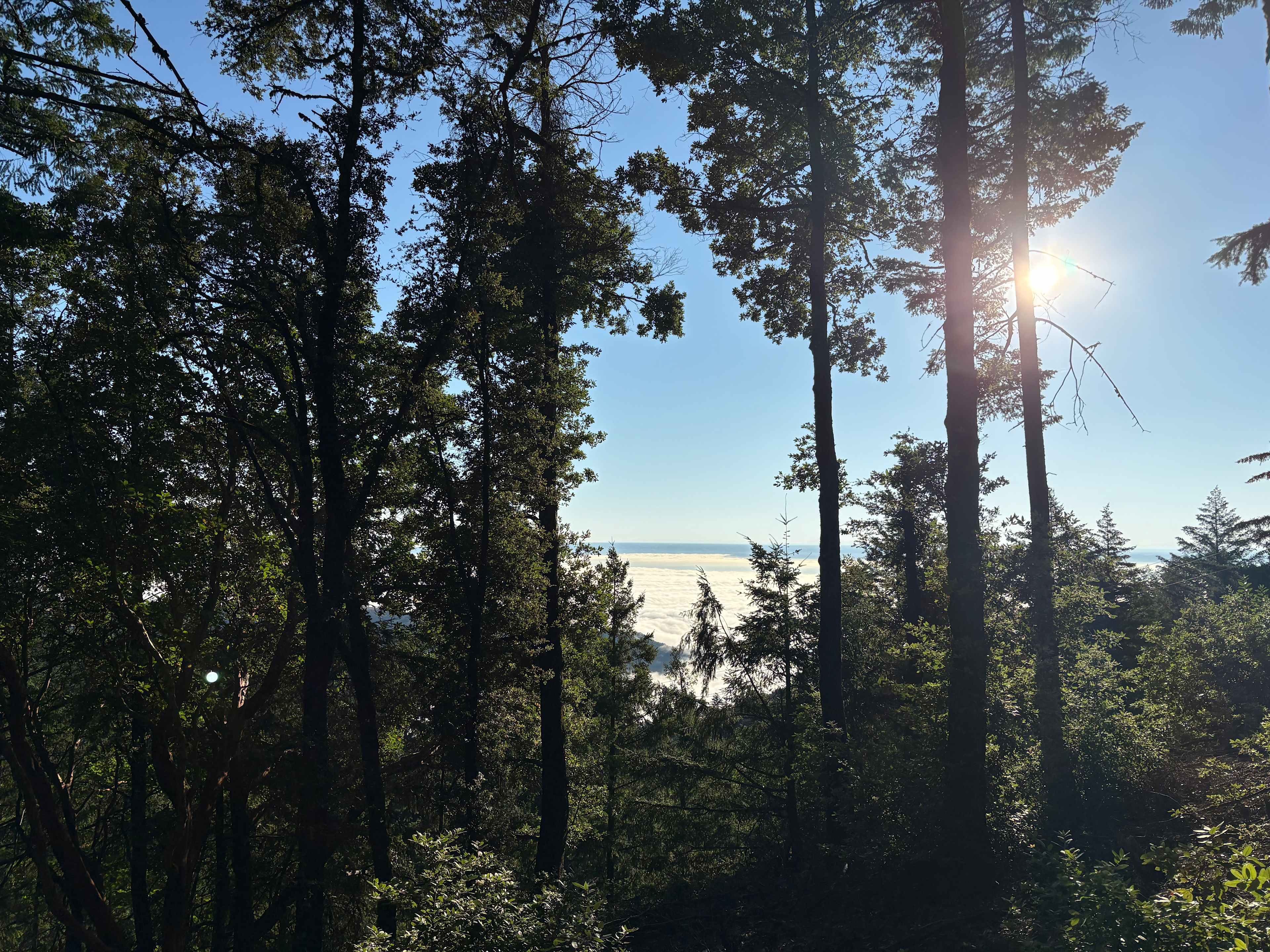 Our view in the morning stepping right out of bed