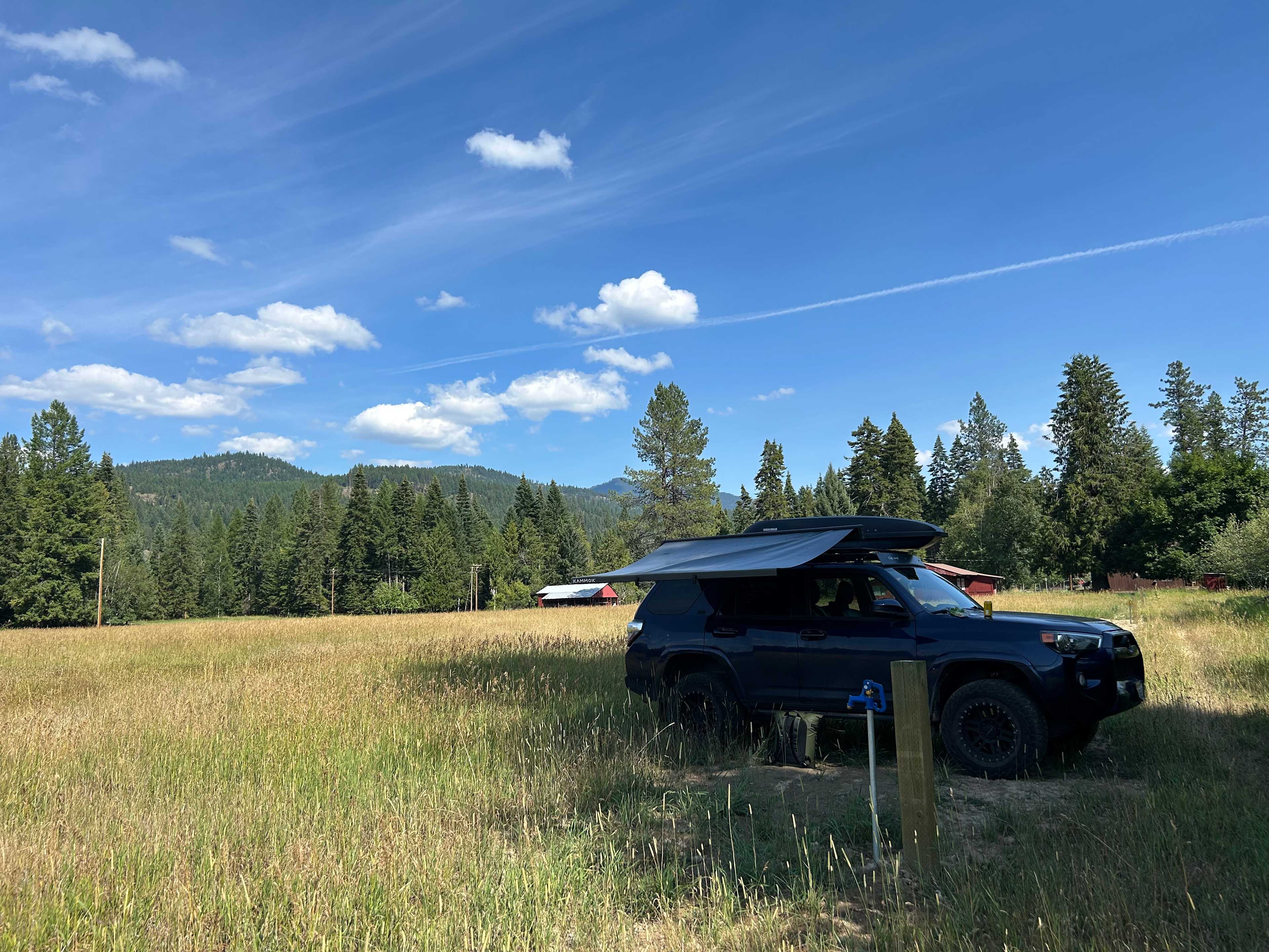 Dick's Blue Ribbon Fish Camp