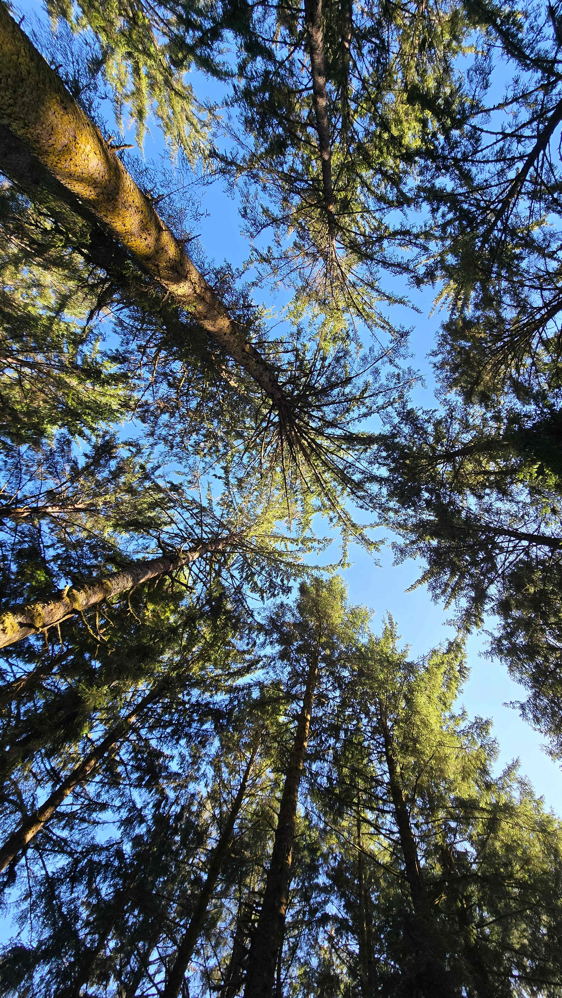 Lost Coast Adventure Camp