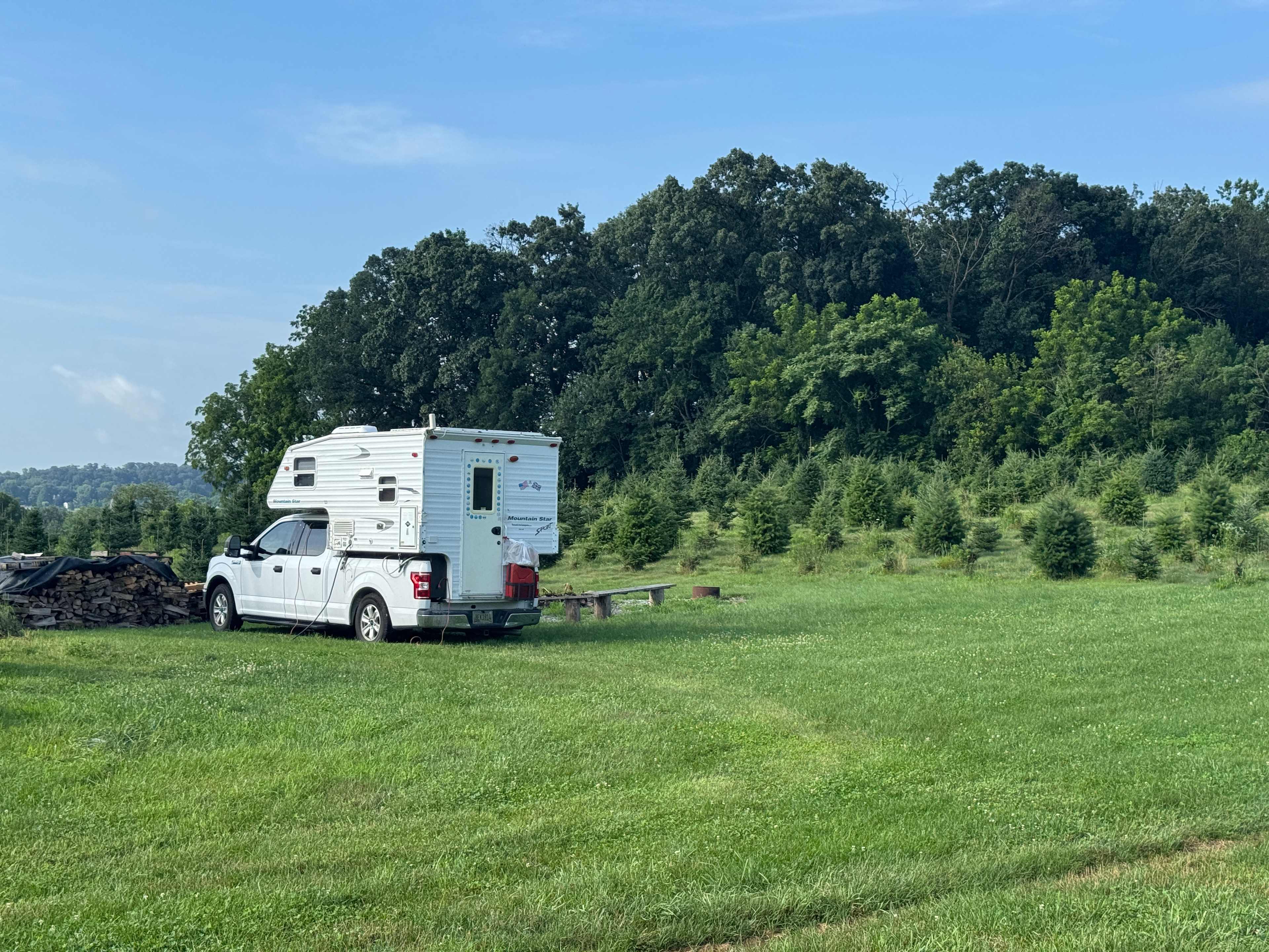 Christmas Tree Farm with Views