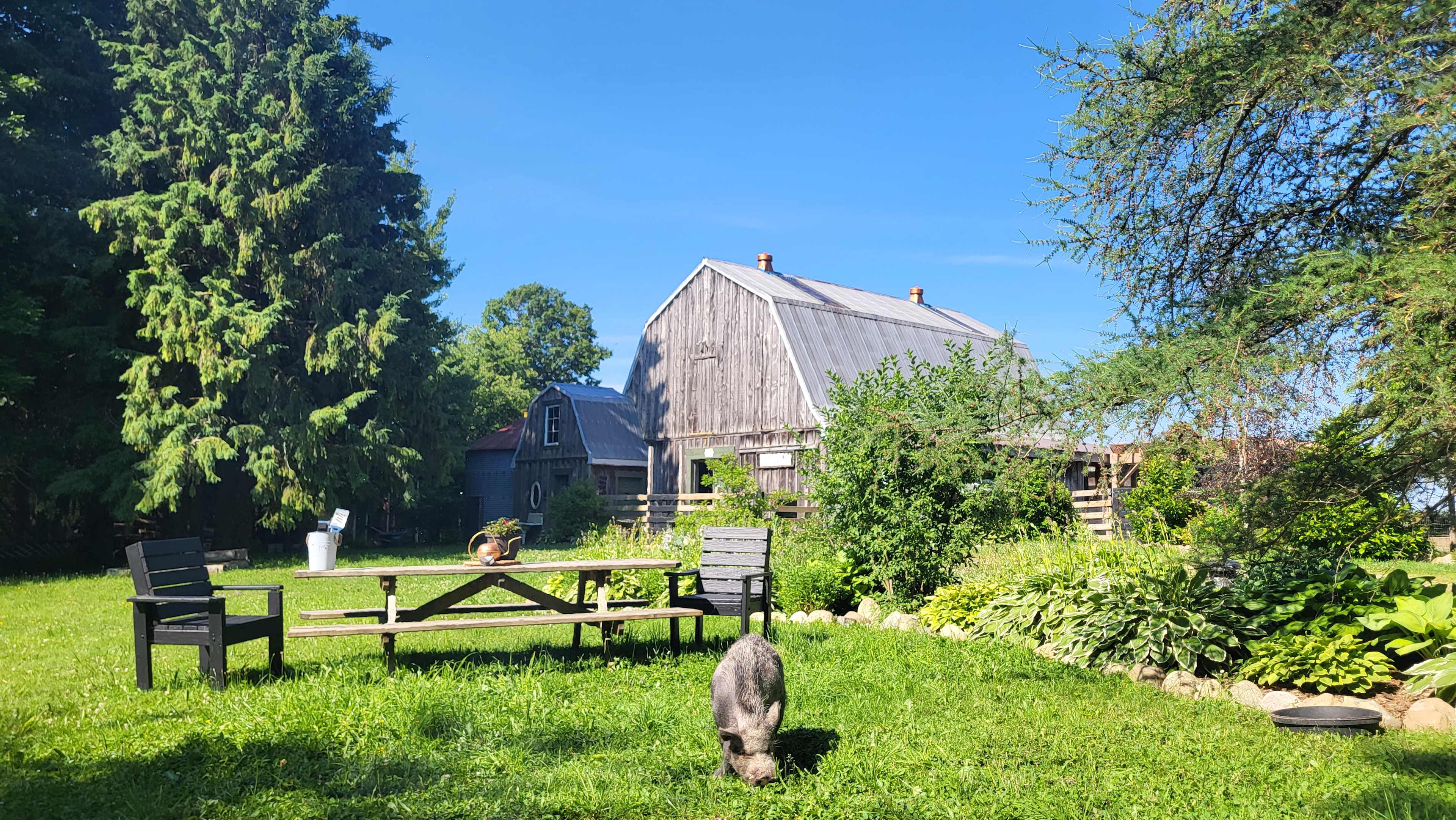 Nourished In Nature Tula Tiny Cabin