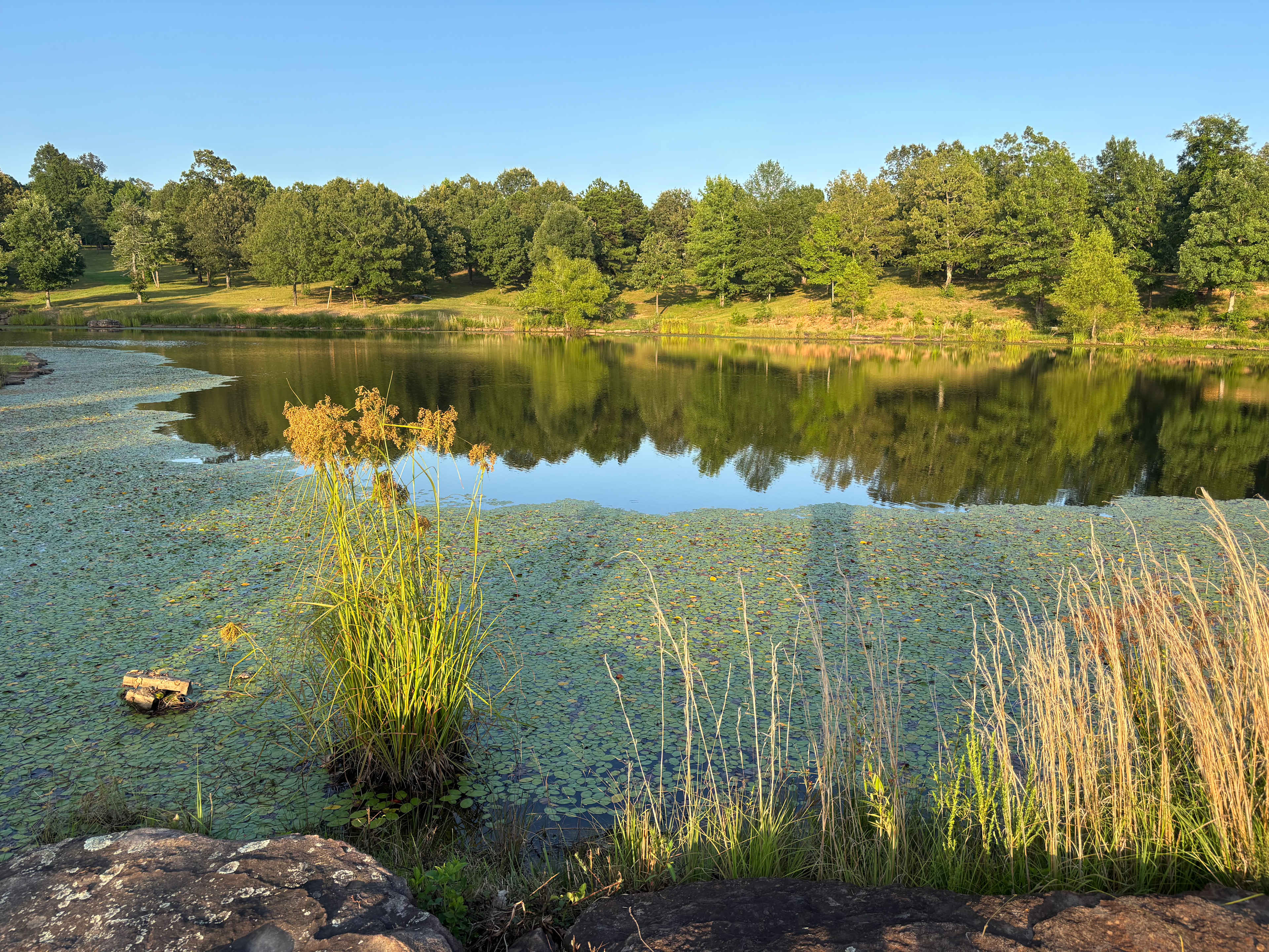 Rocky Creek Ranch Voted Best In St.