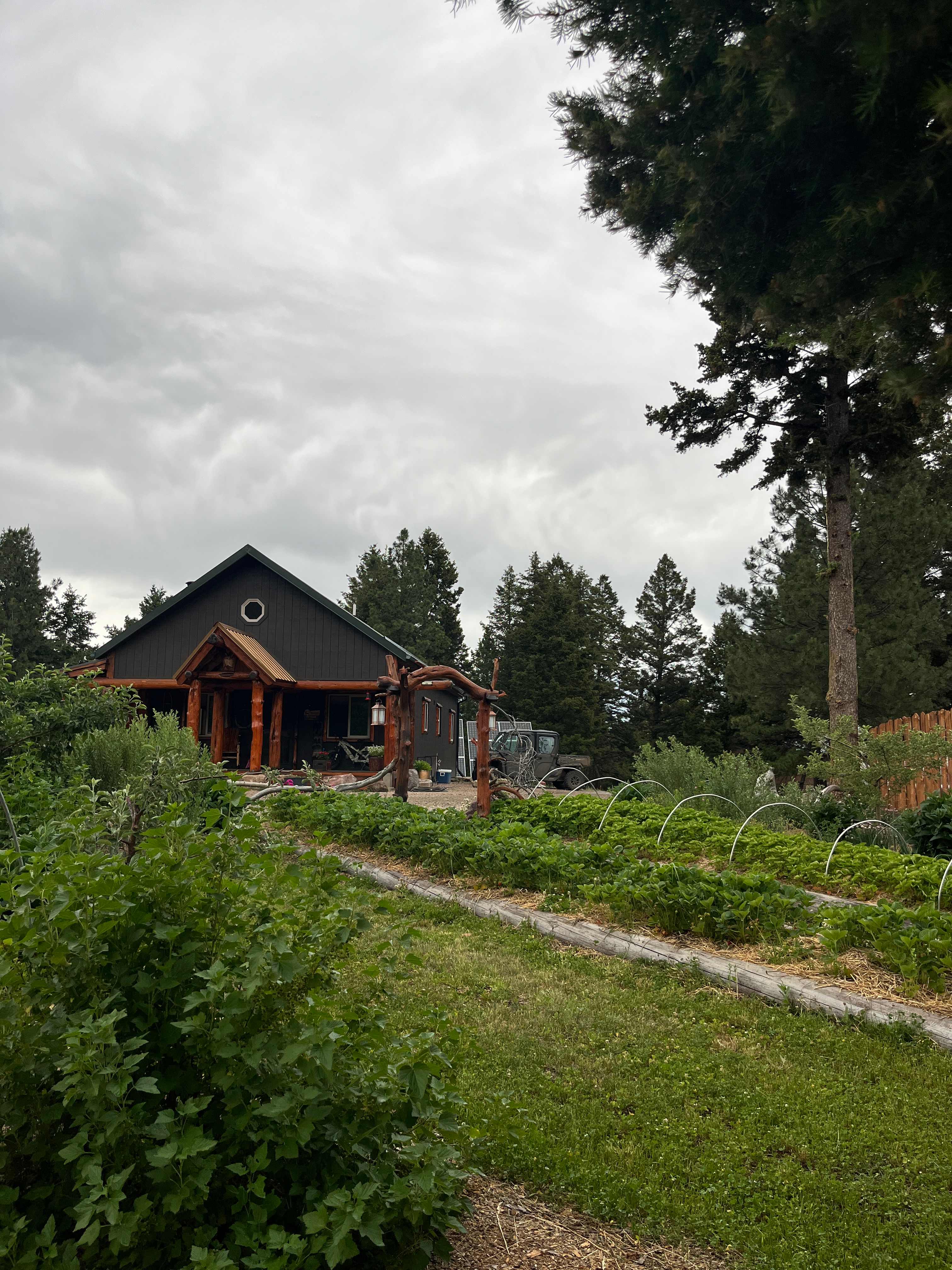 Mile High Mountain Homestead