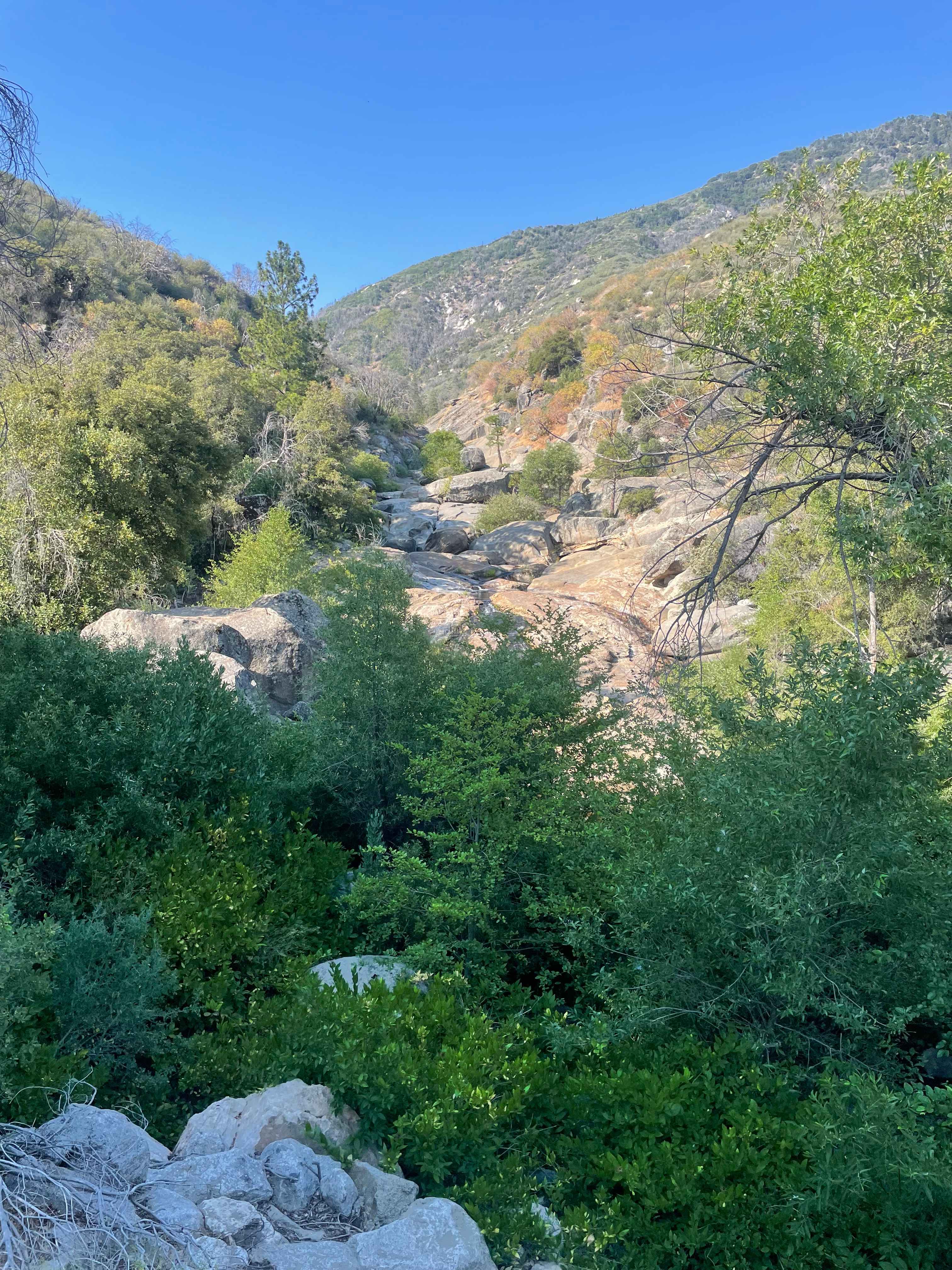 Kings Canyon Campground