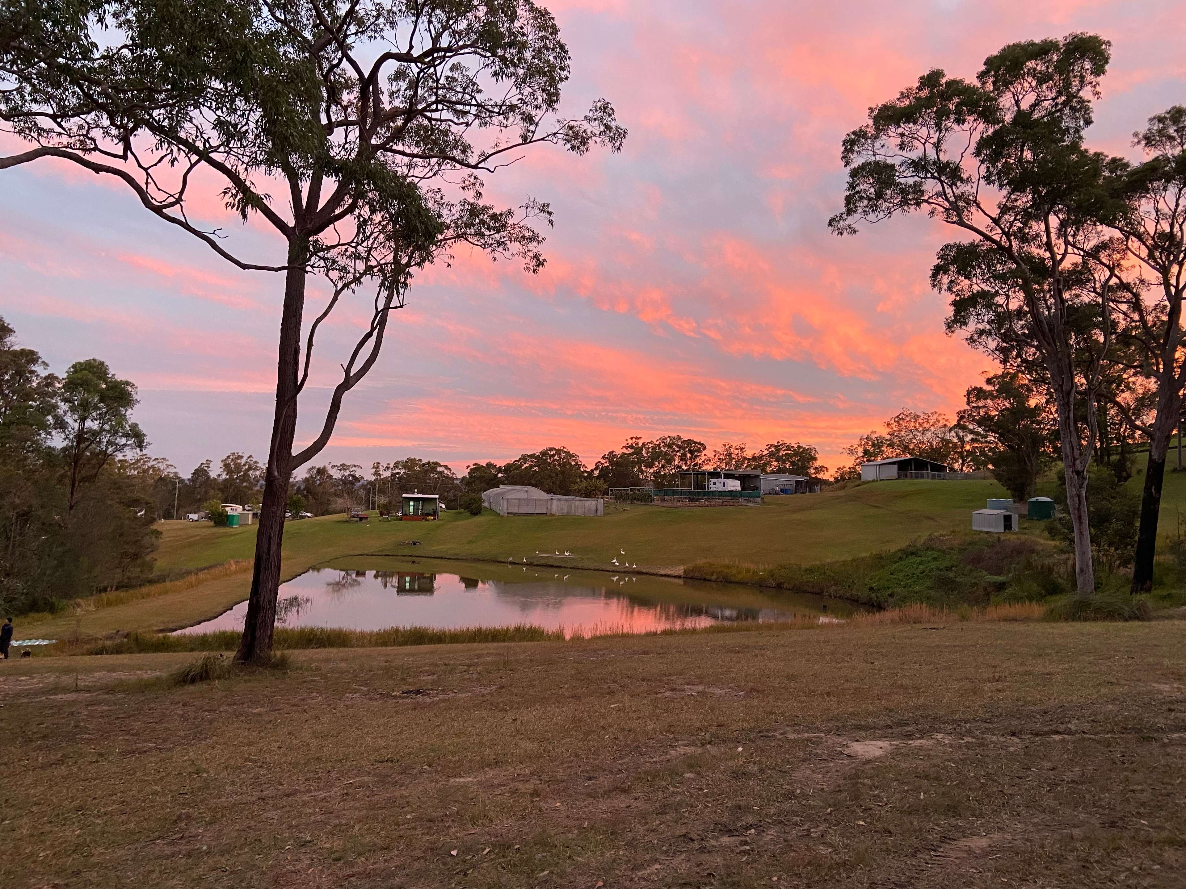 View from camp 2