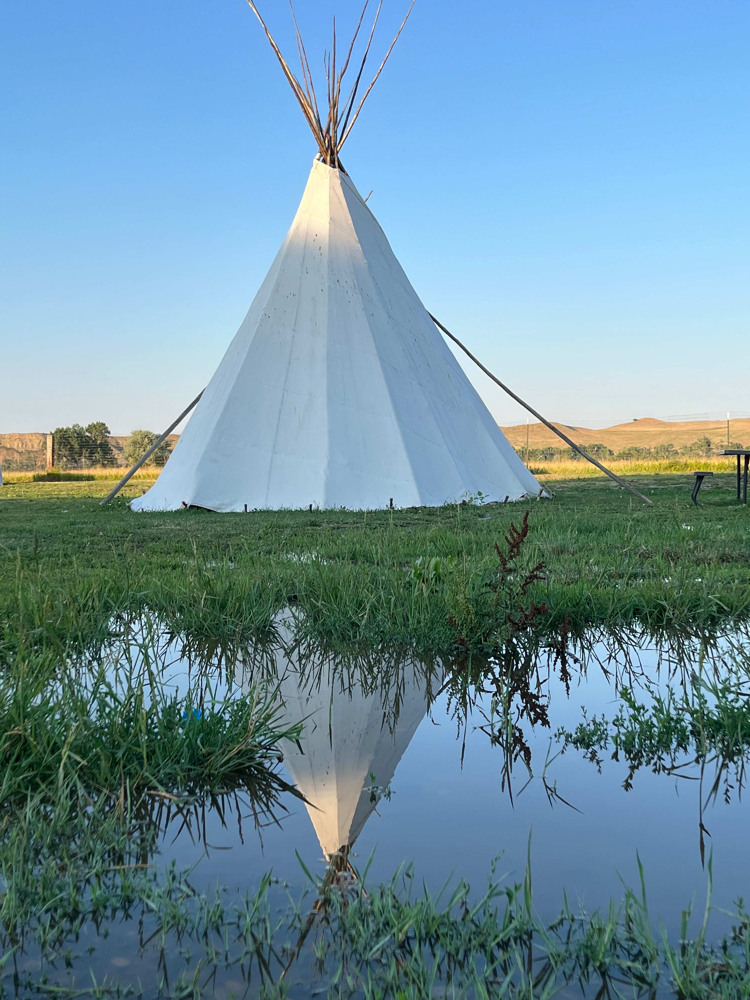 Wellknown Buffalo Historic Camp