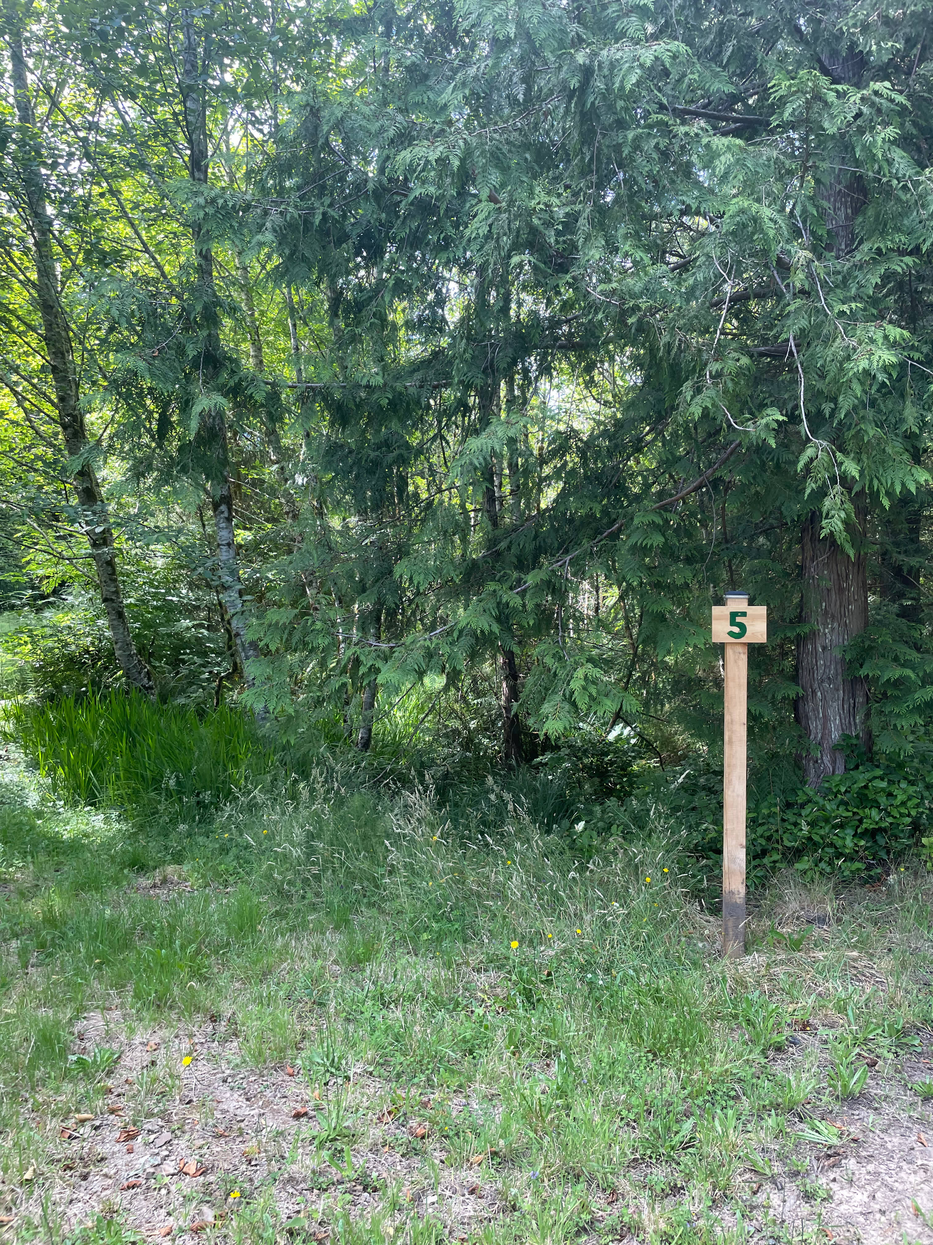 Timber Sands