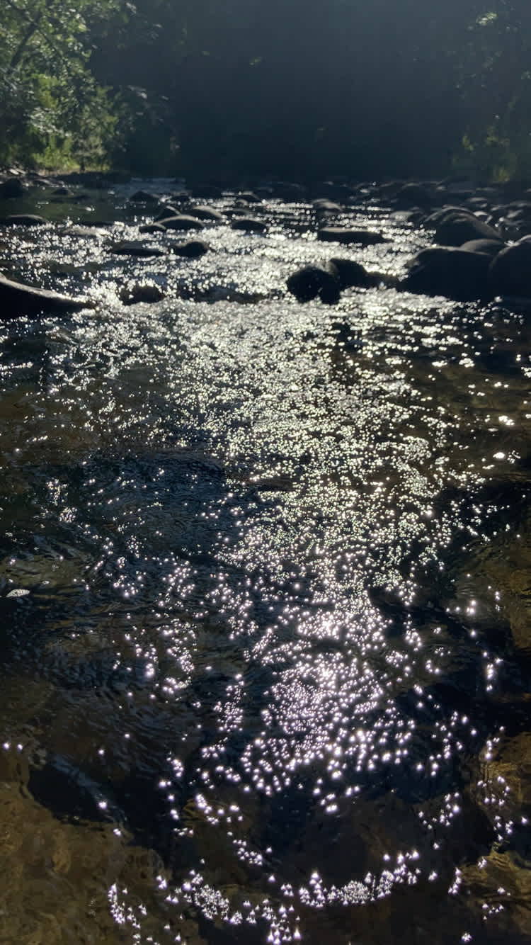 Rock Crick Acres