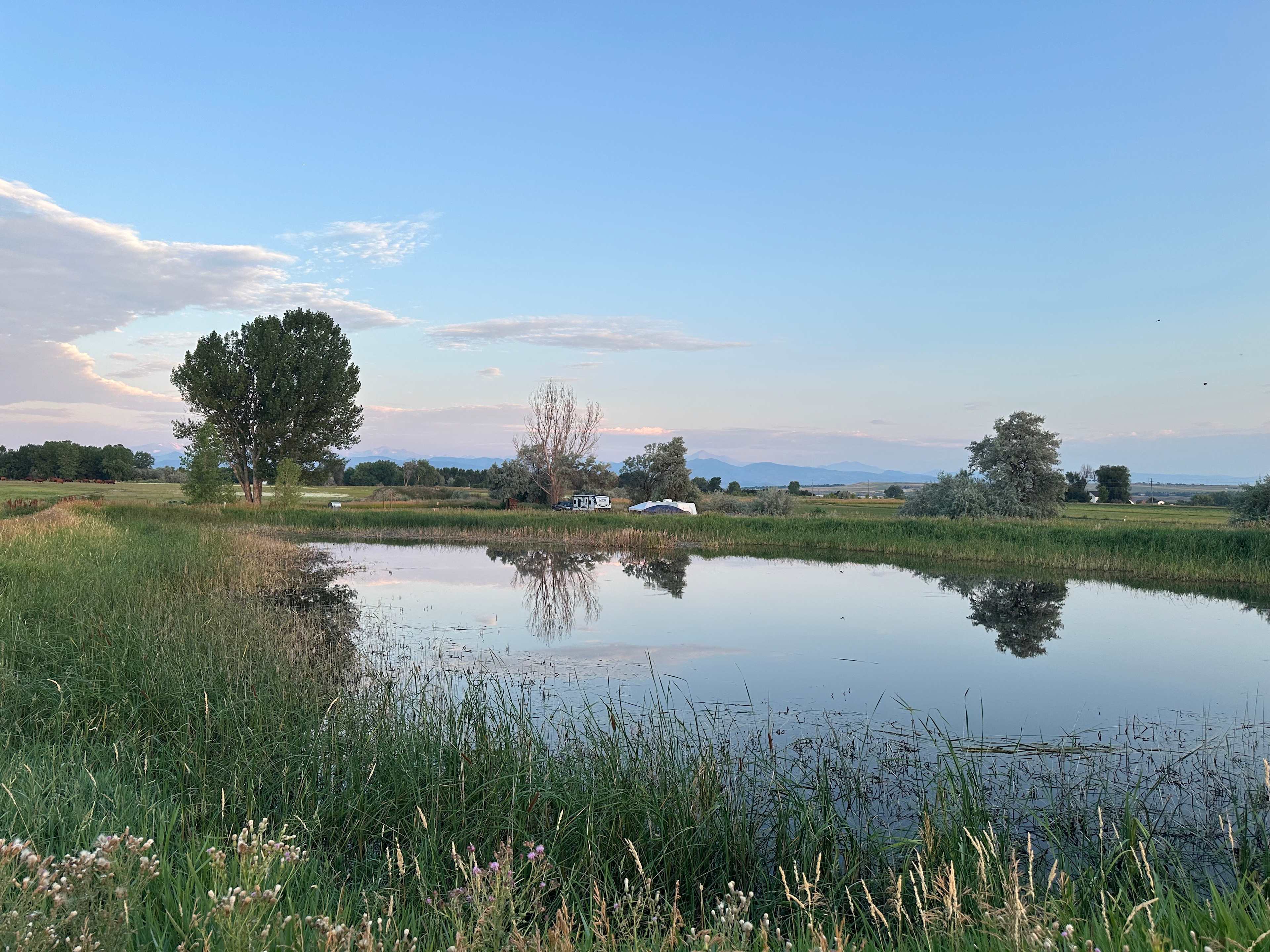 Morning on the homestead
