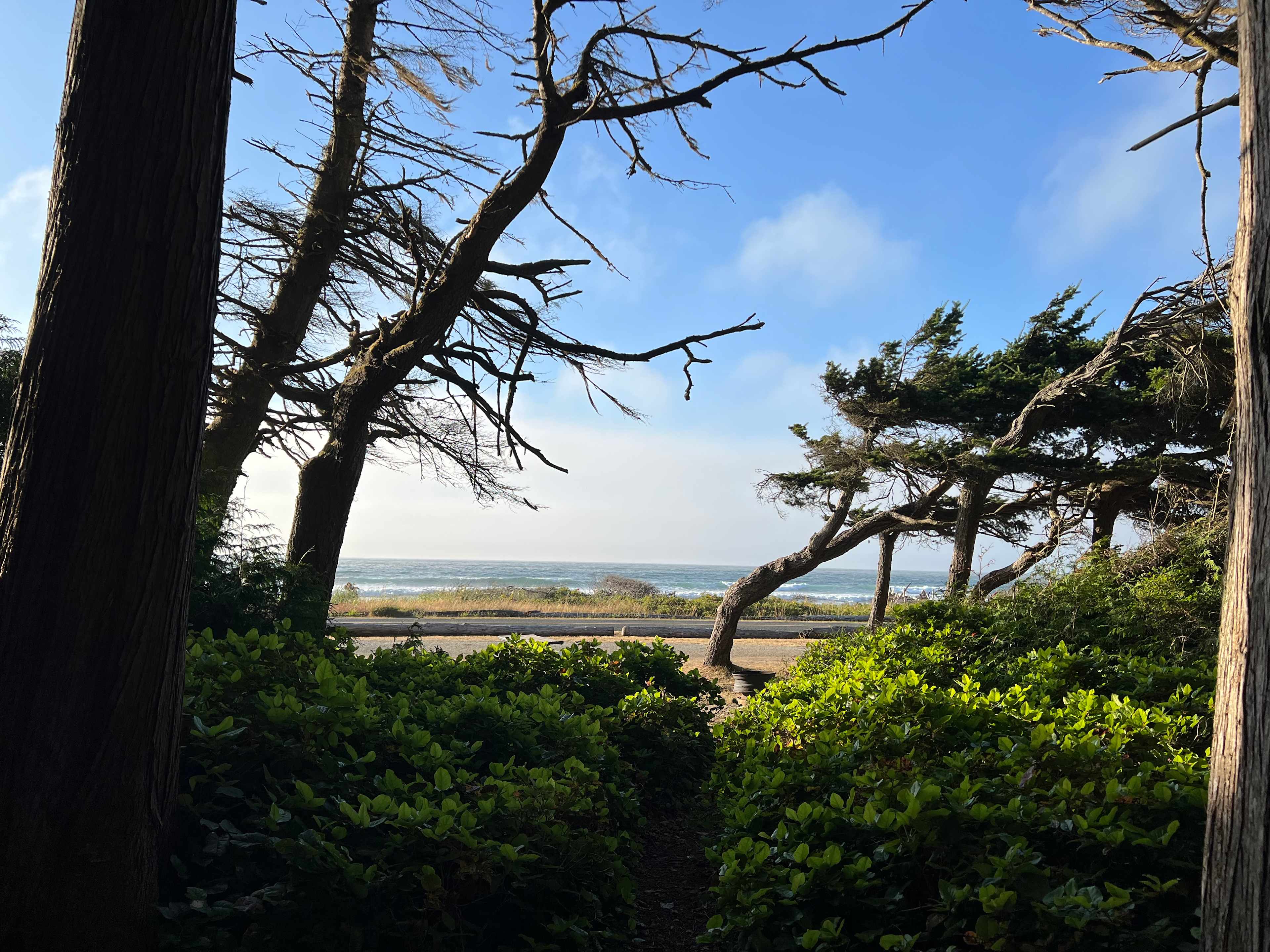 Crescent Beach & RV