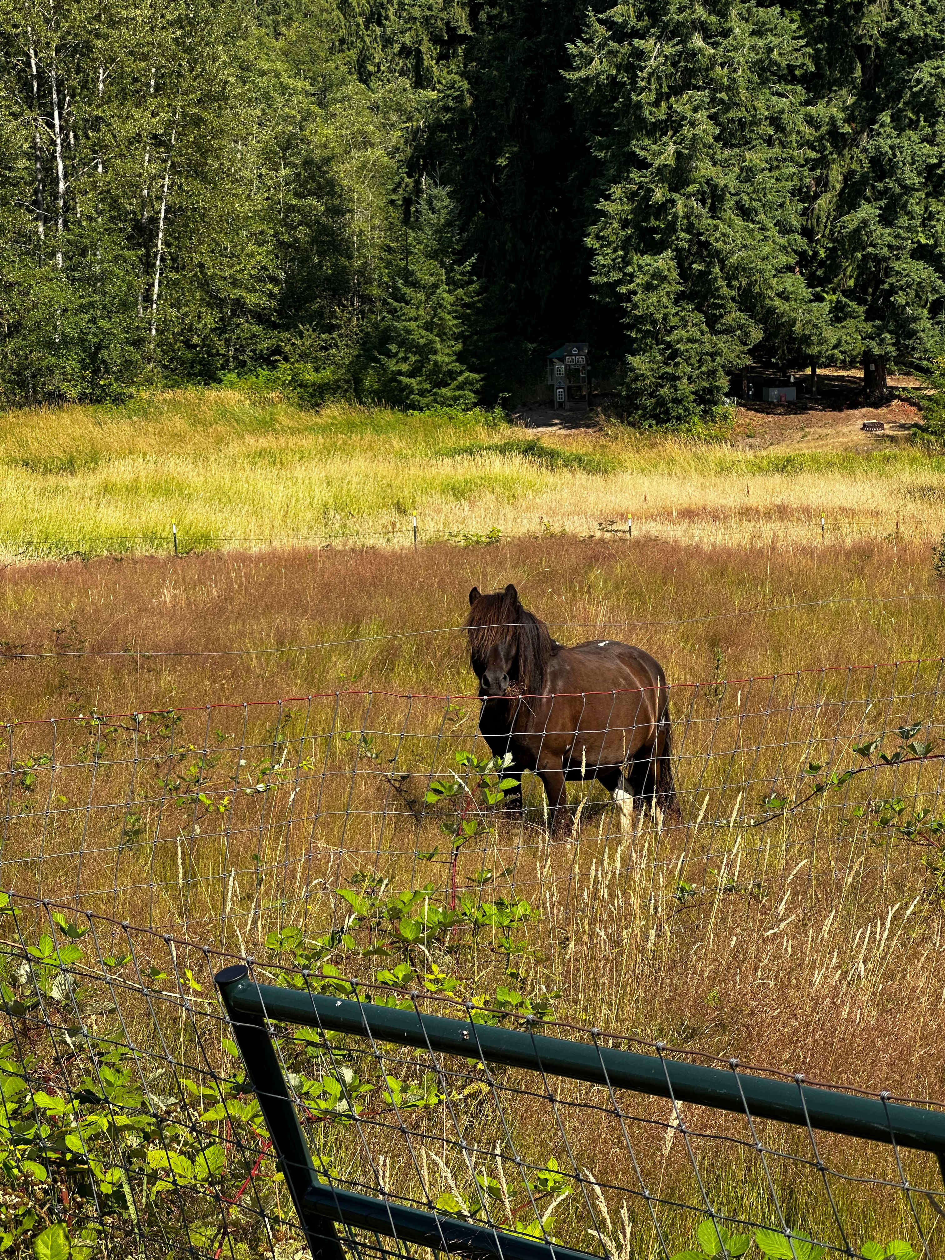 Otter Pond Pastures