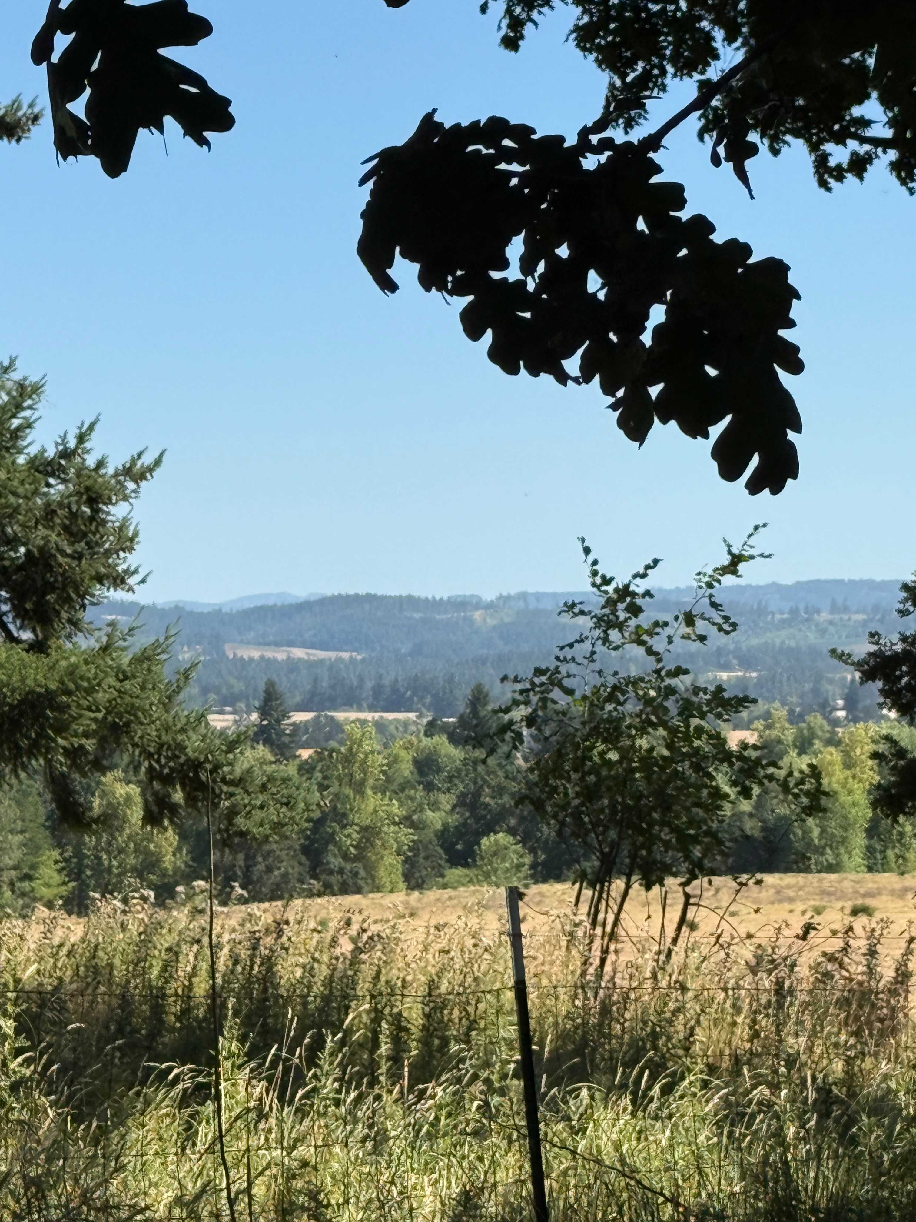 Grange Hall Gardens