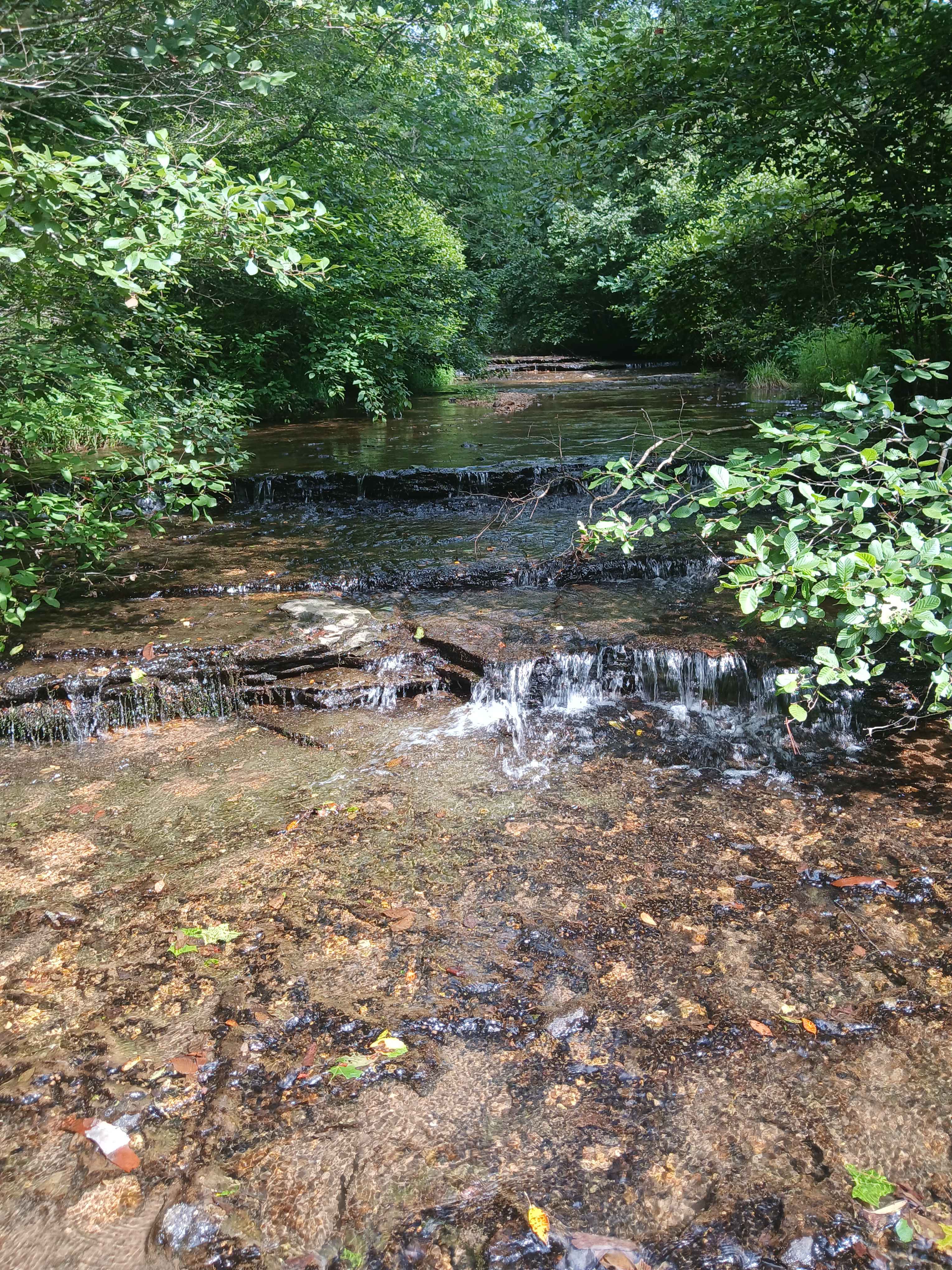 Reed Creek Campsites