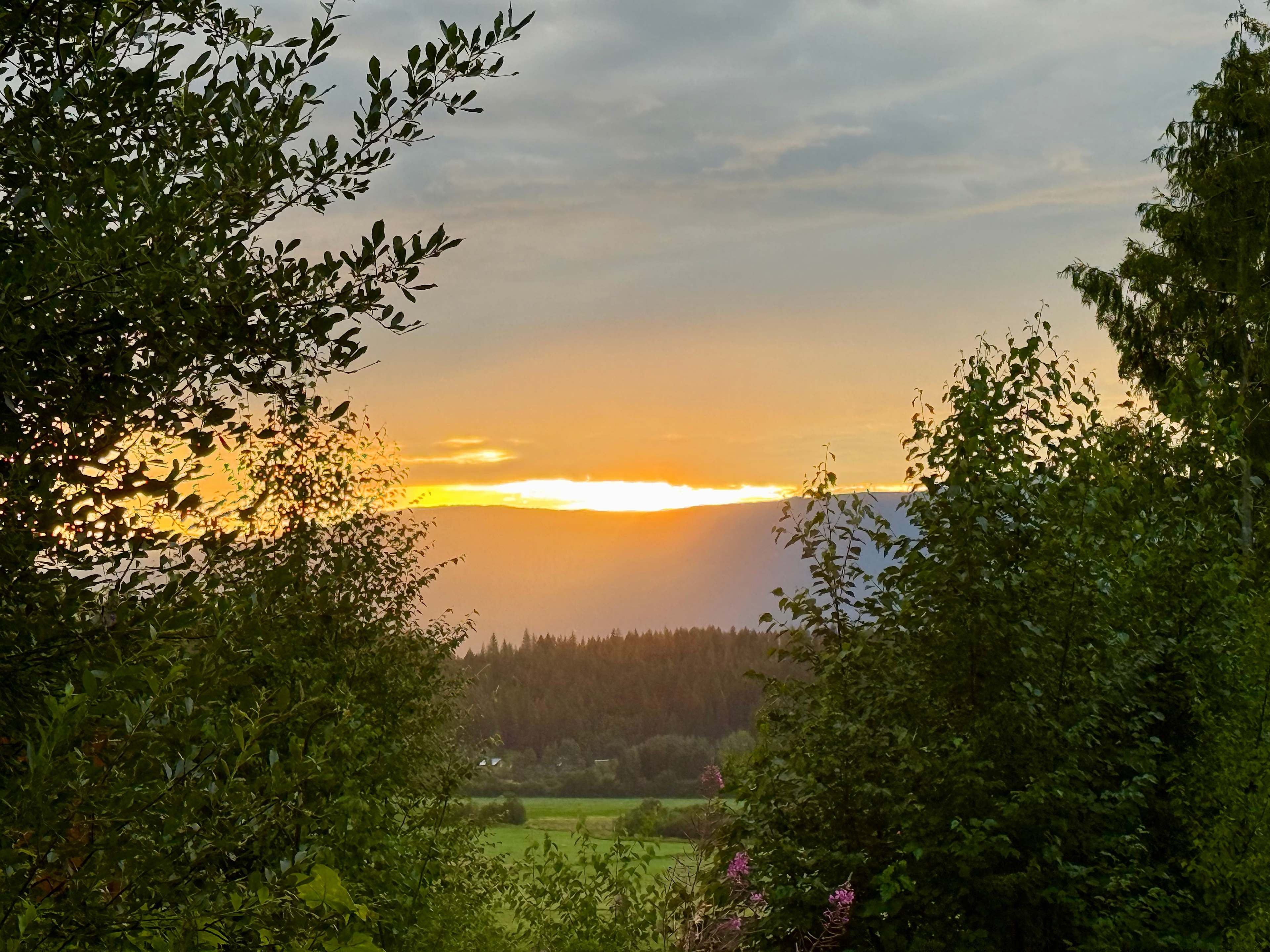 Sunrise