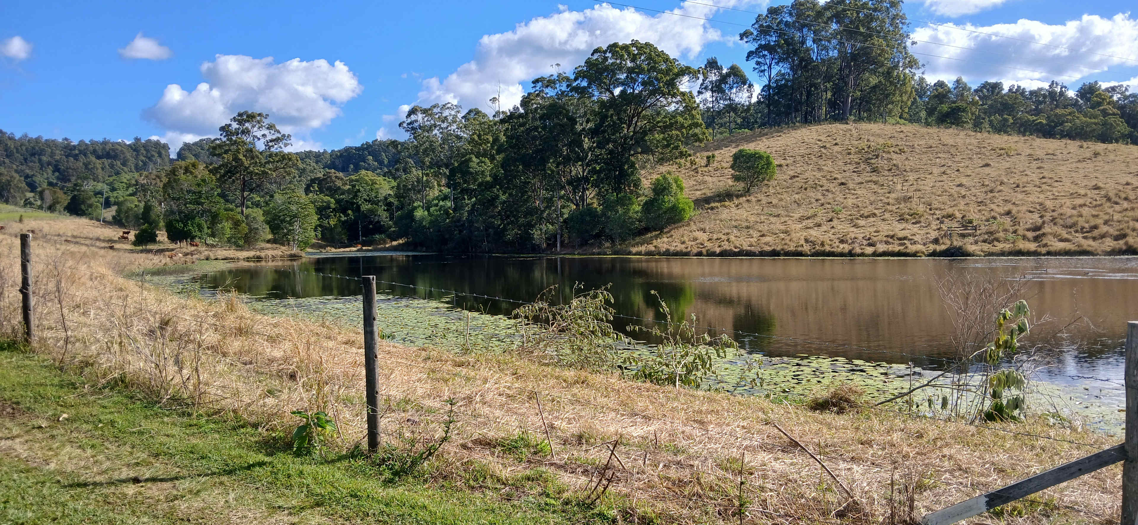 Sandycreek Homestead