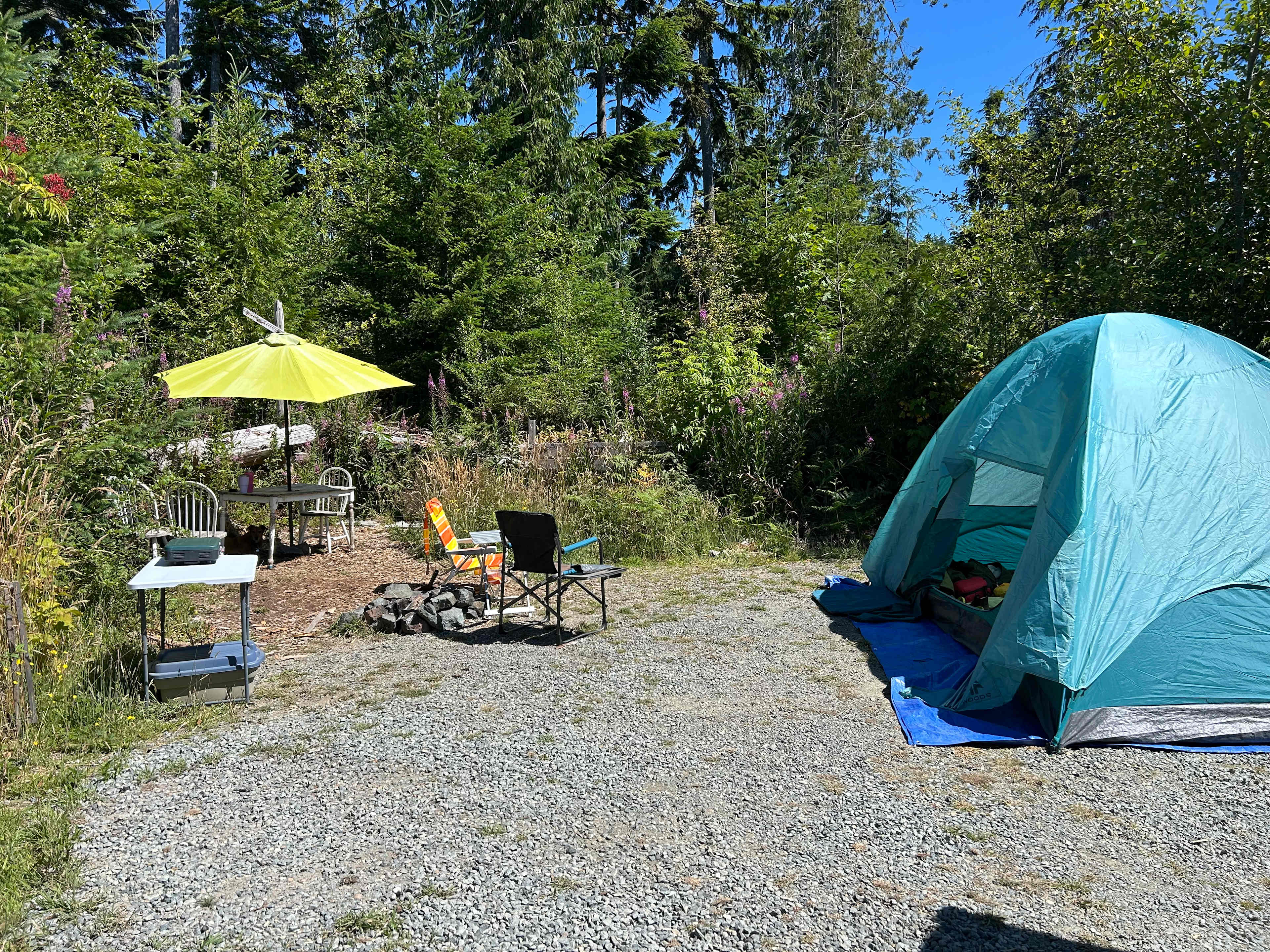 Elderberry is a nice roomy site surrounded by nature.