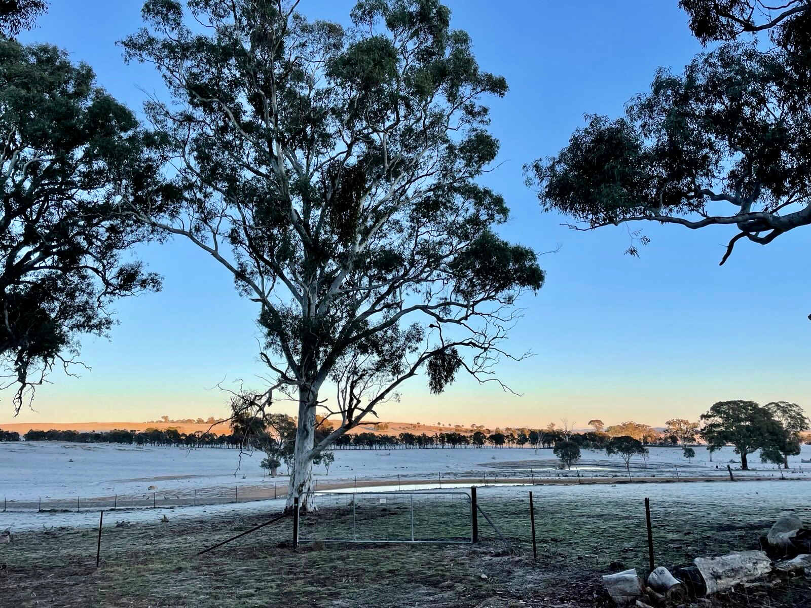 Coots Creek Campground