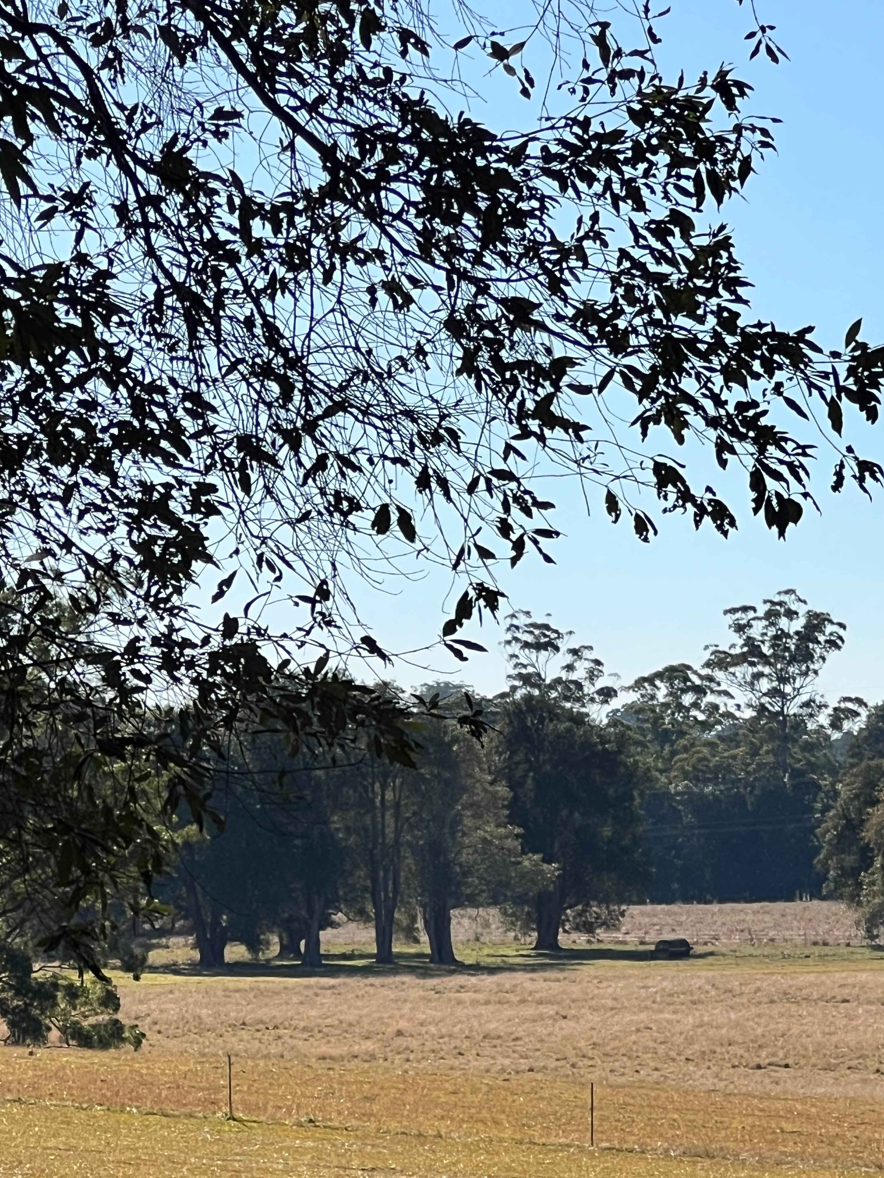 Bonville Camp Ground