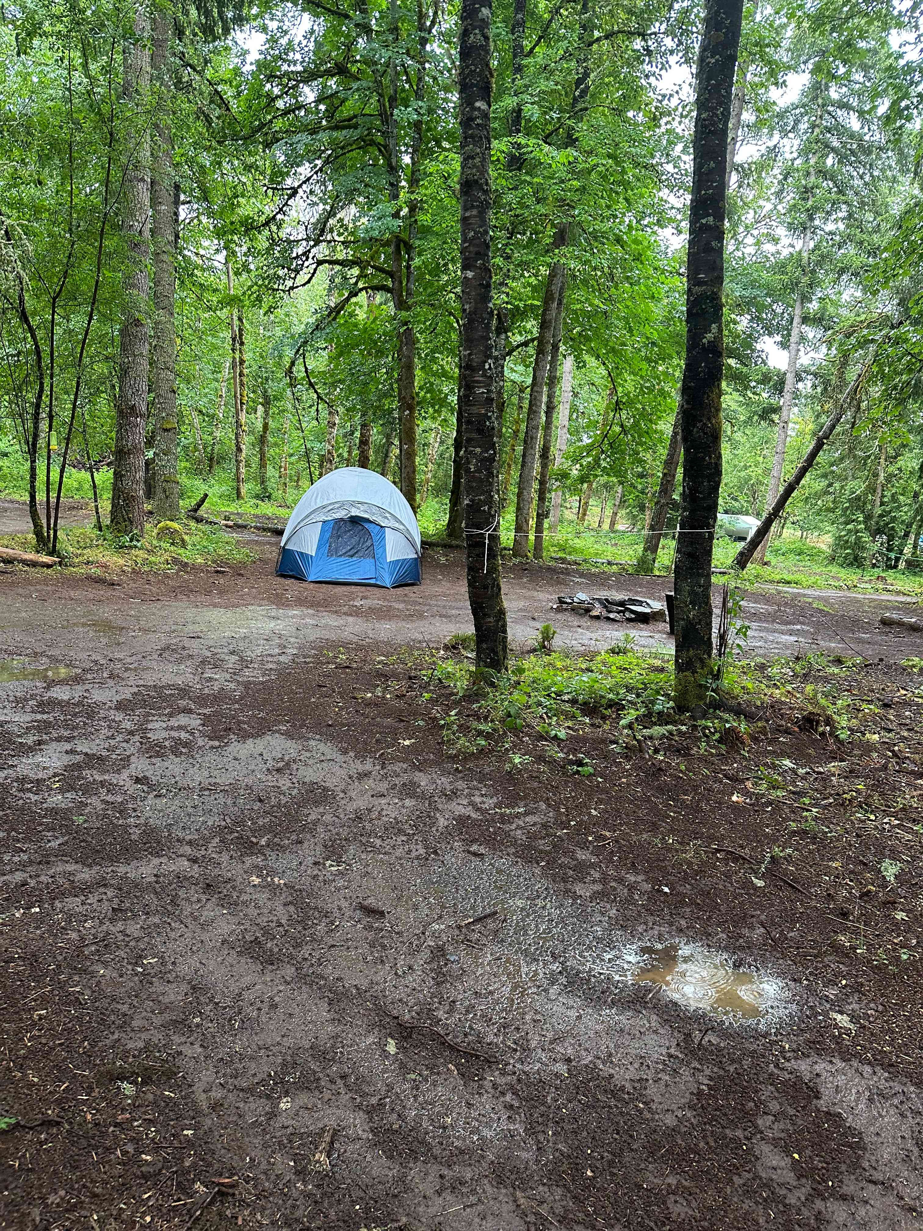 Gordon’s Pond