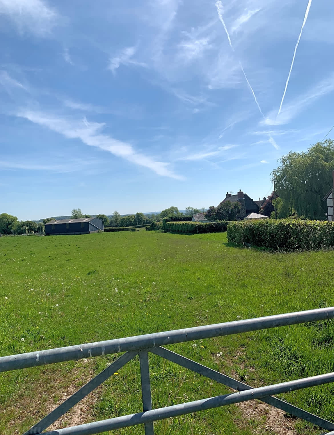 Tyn-y-Cae Meadow Camping