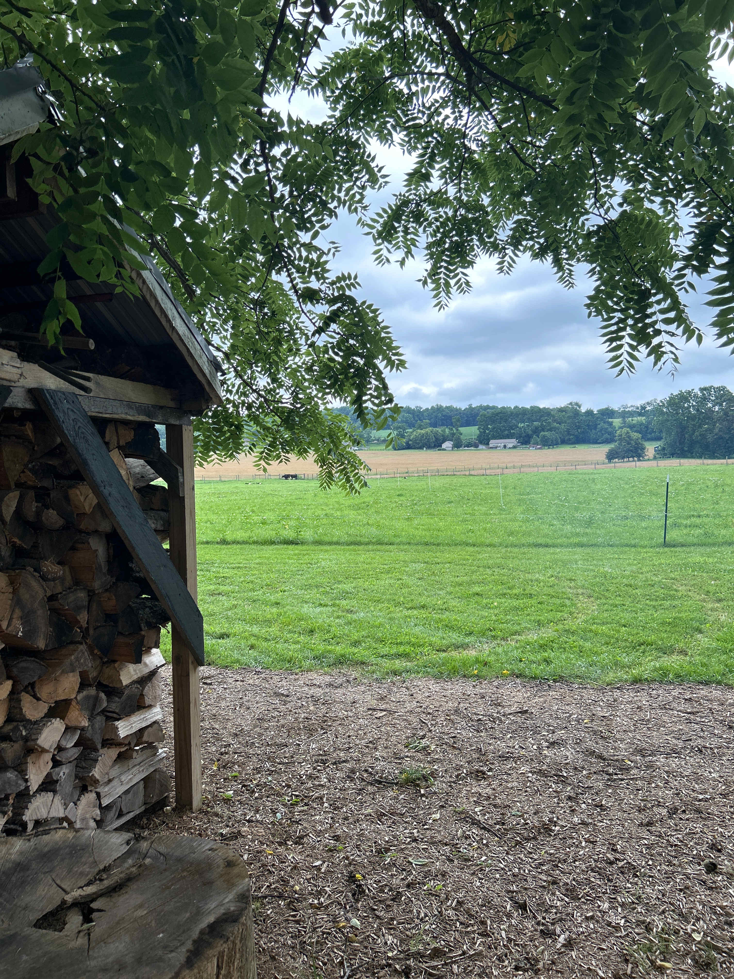 Romeo Acres