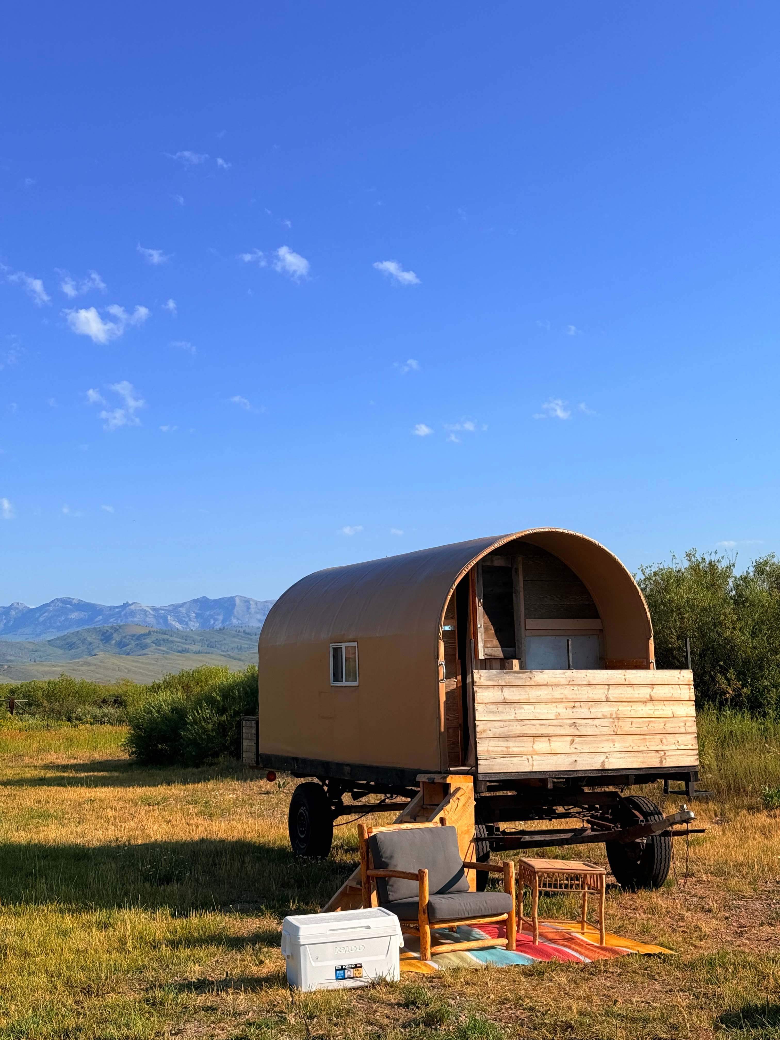 HobackVillage Star Gaze Sheep Wagon