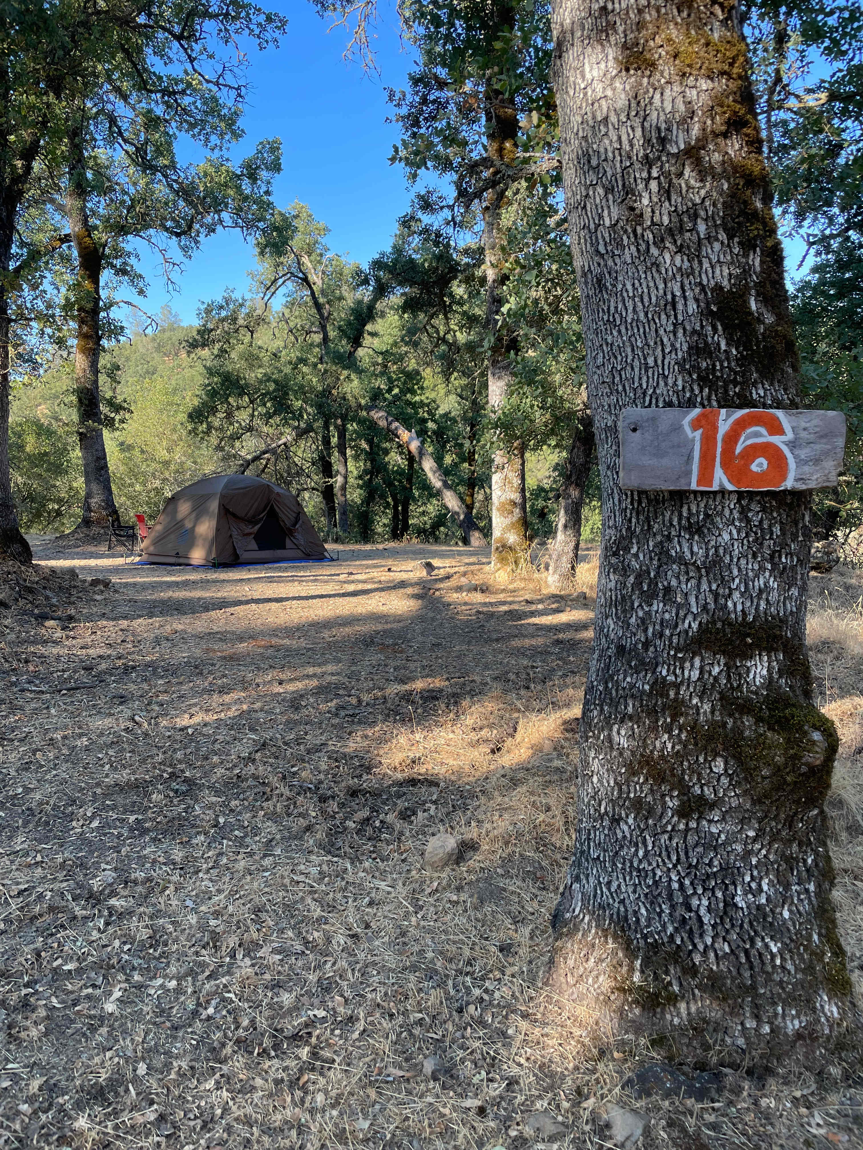 Cosumnes River Ranch